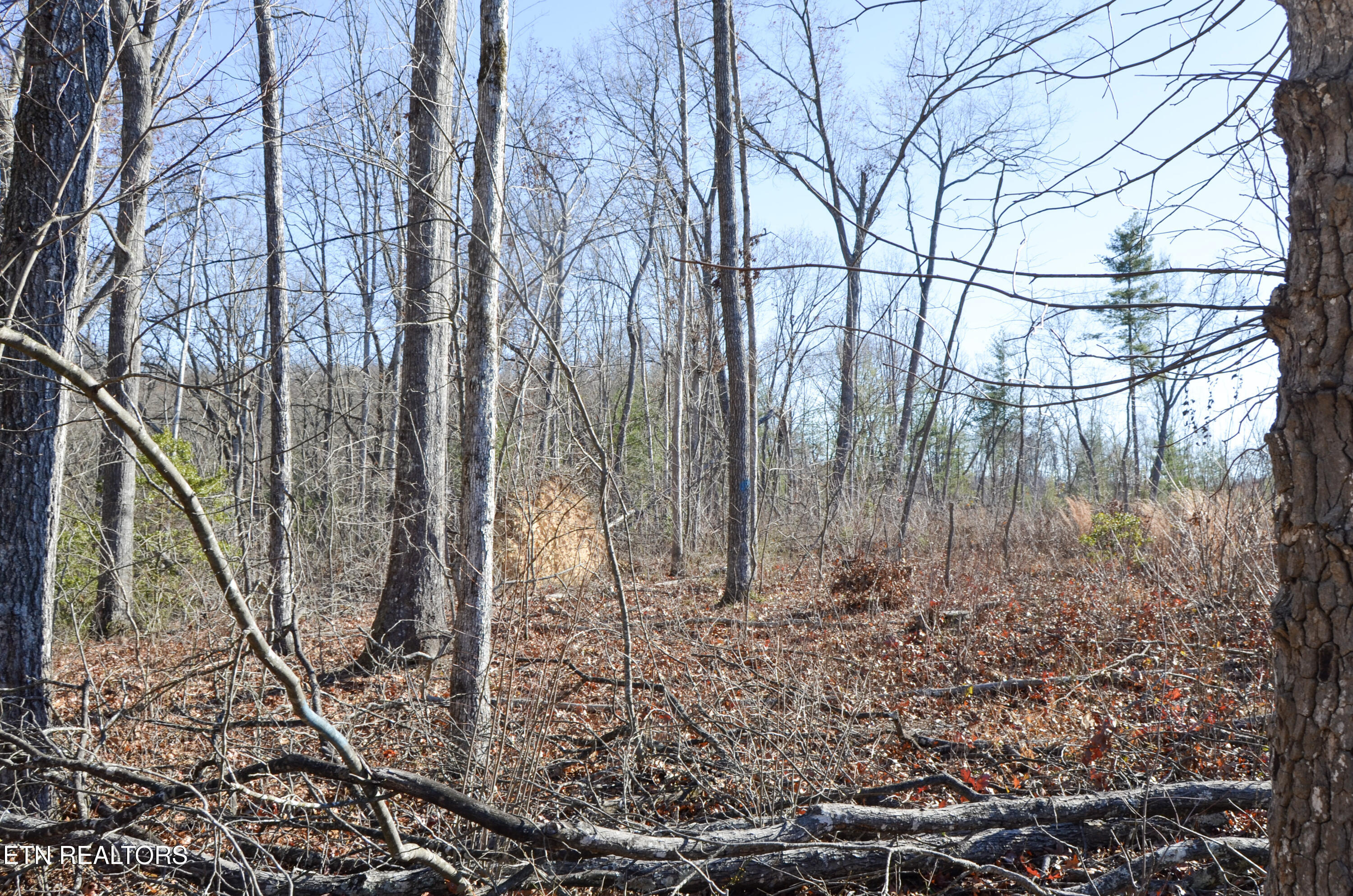 Sparta Highway 31.65 +/- Acres Crossville TN 38555