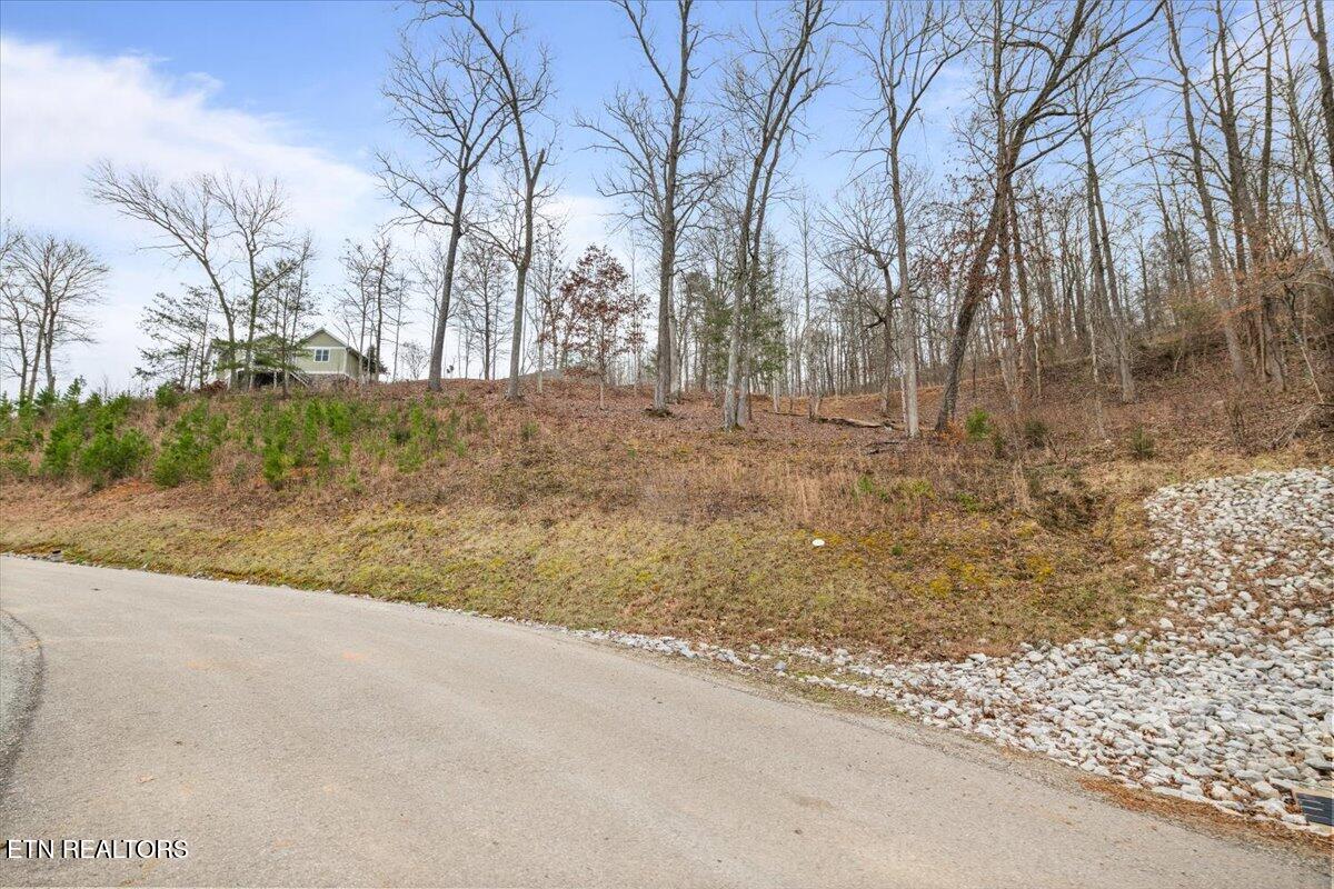 222 Suncrest Cove Lafollette TN 37766