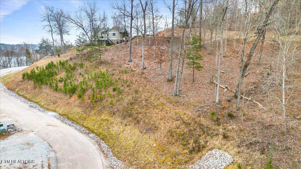 222 Suncrest Cove Lafollette TN 37766