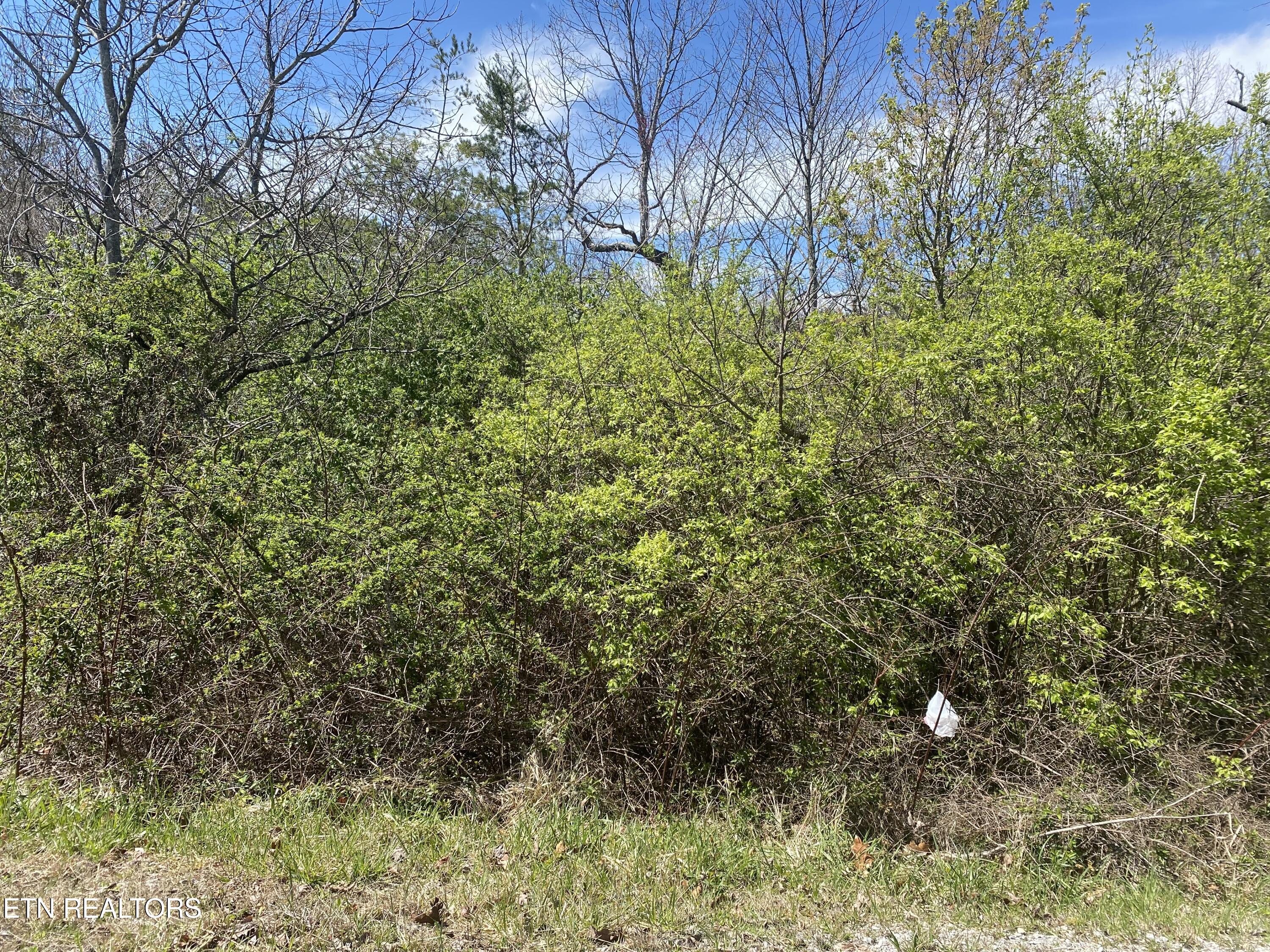 Lot #6 S Highway 127 N Crossville TN 38555