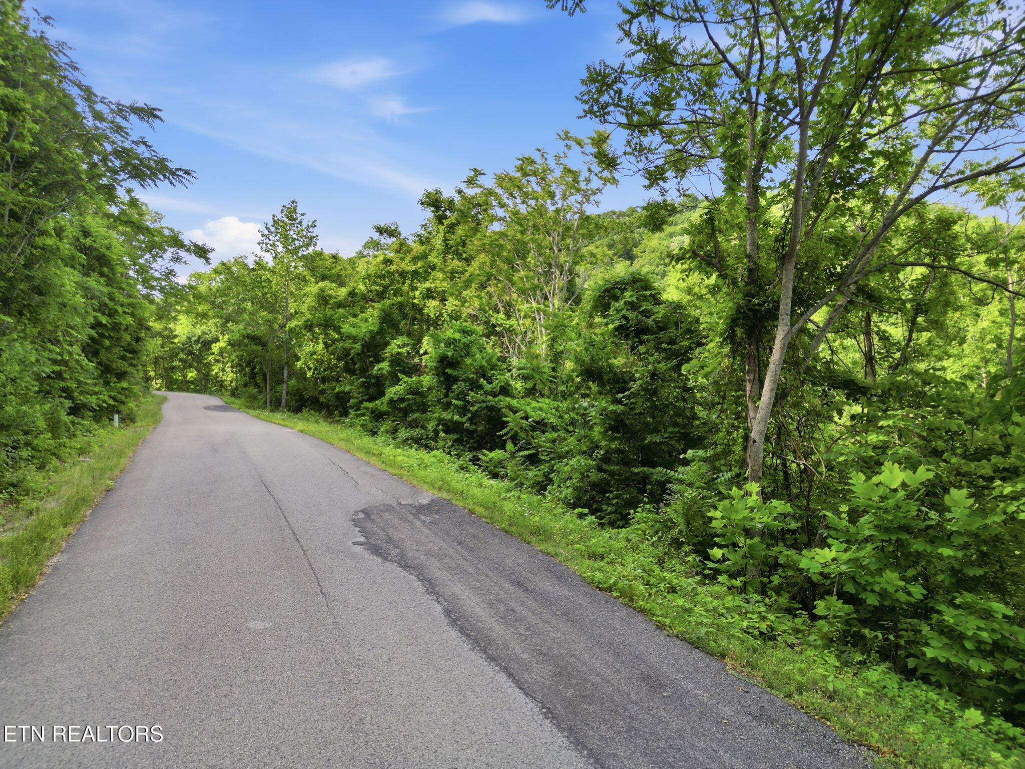 Lot 140 Garfield Lane Sharps Chapel TN 37866