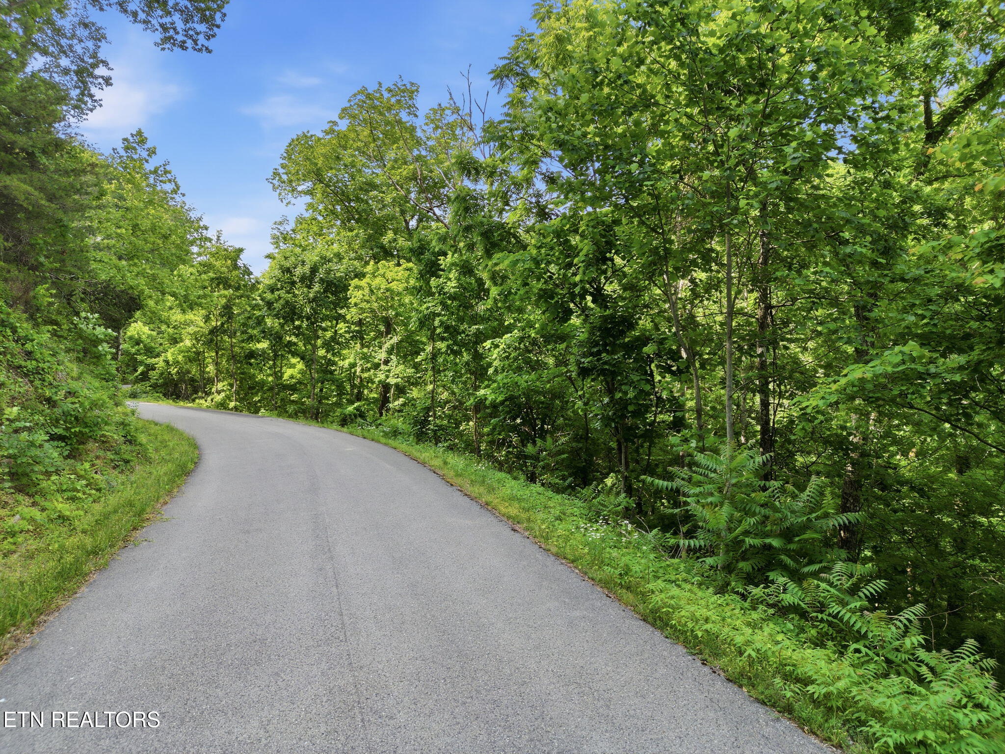 Lot 140 Garfield Lane Sharps Chapel TN 37866