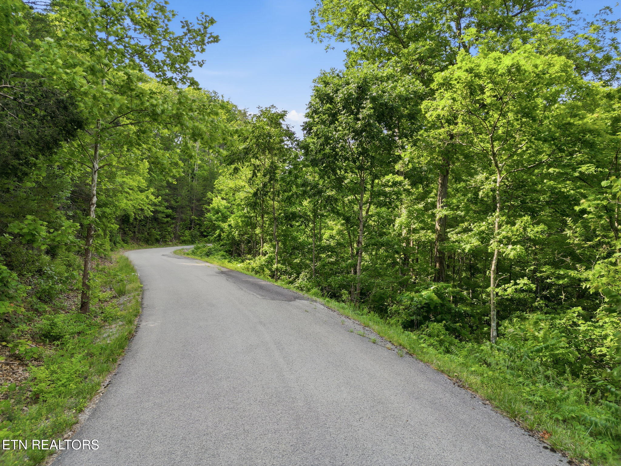 Lot 140 Garfield Lane Sharps Chapel TN 37866