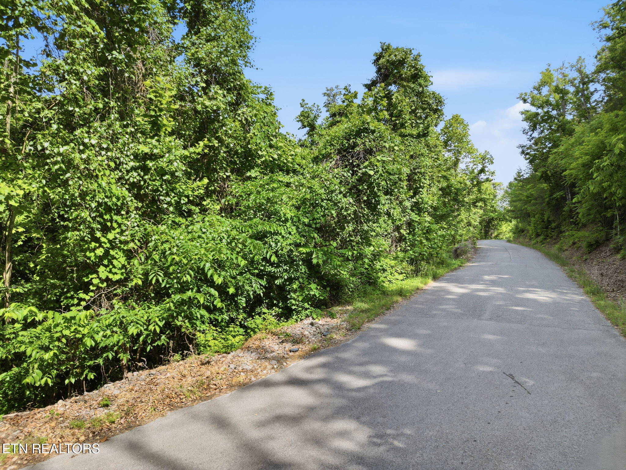 Lot 140 Garfield Lane Sharps Chapel TN 37866