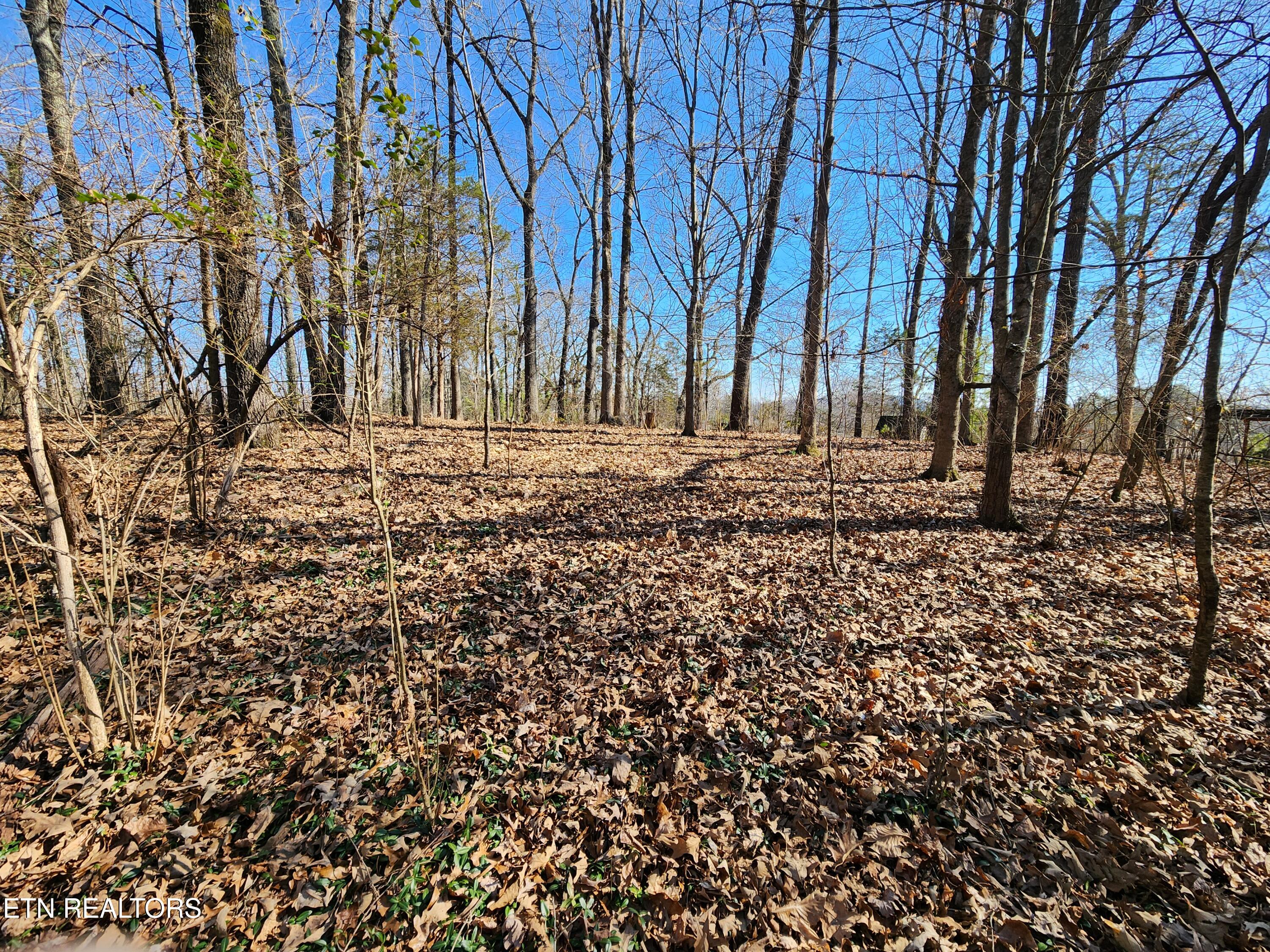 000 Crestway Drive Athens TN 37303