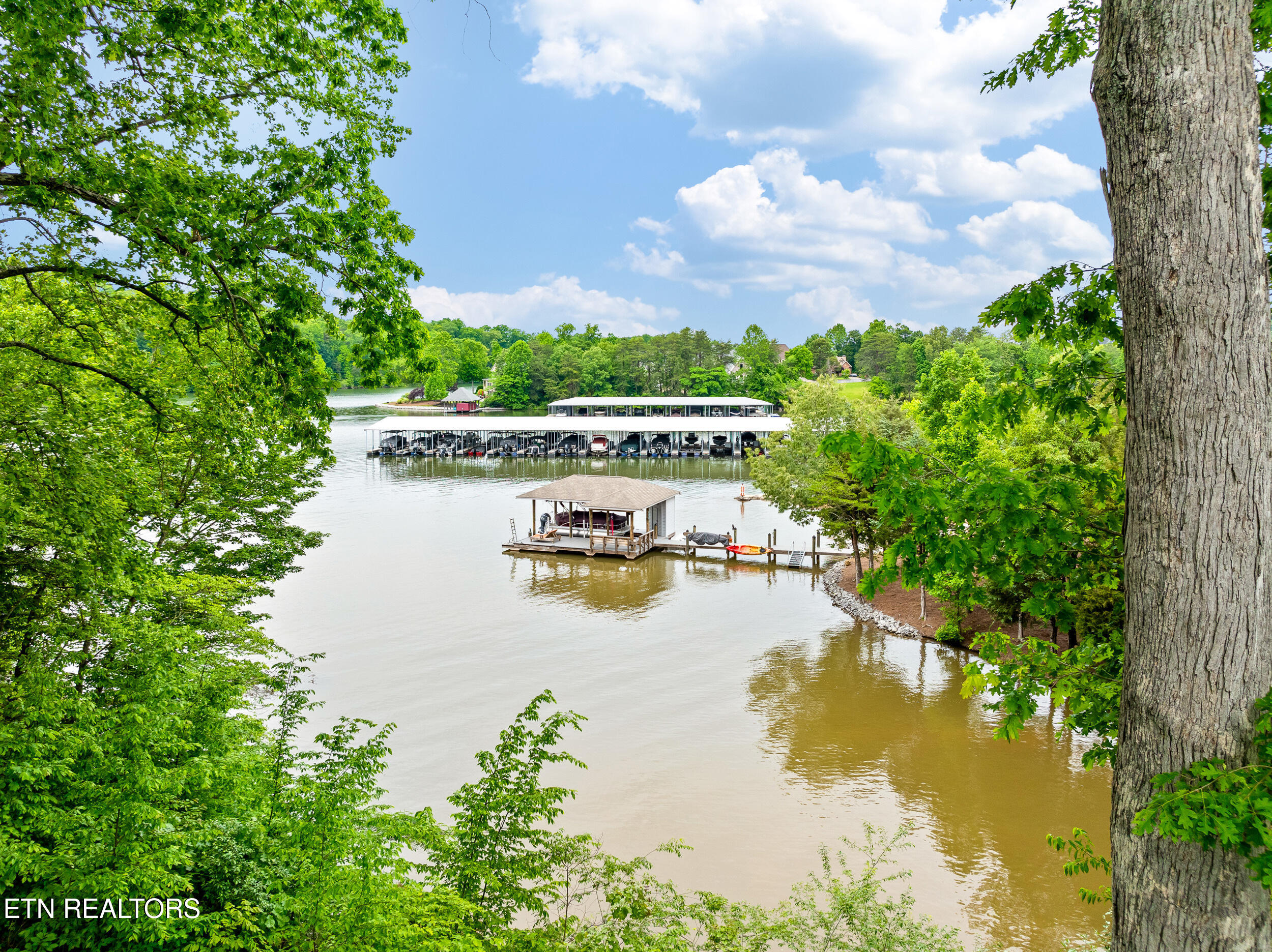 201 White Swan Drive Vonore TN 37885