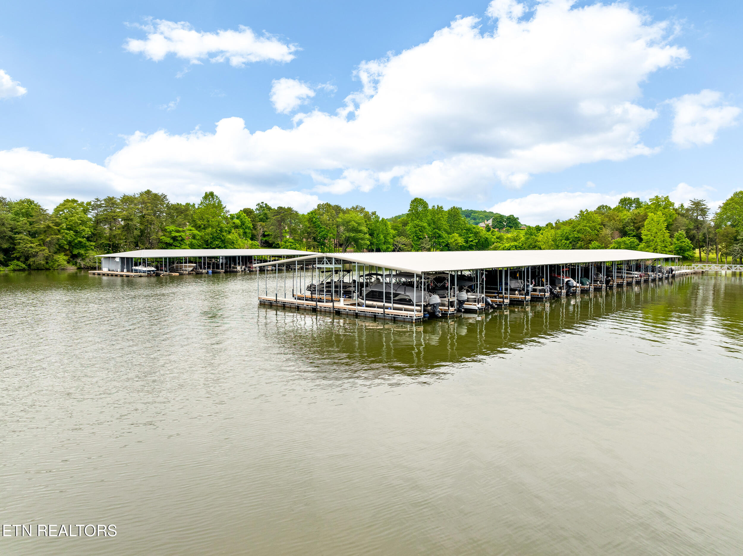 201 White Swan Drive Vonore TN 37885