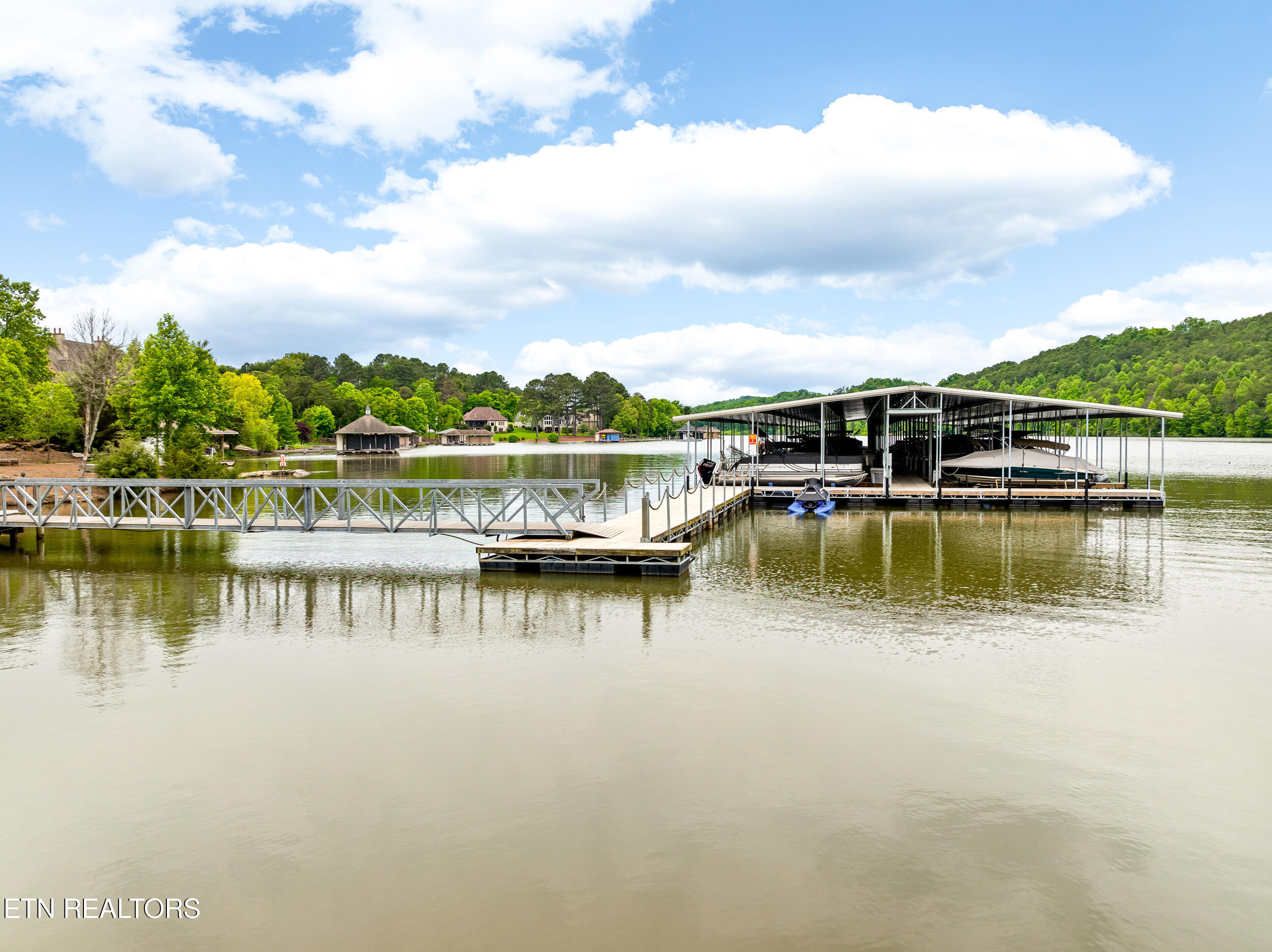 201 White Swan Drive Vonore TN 37885