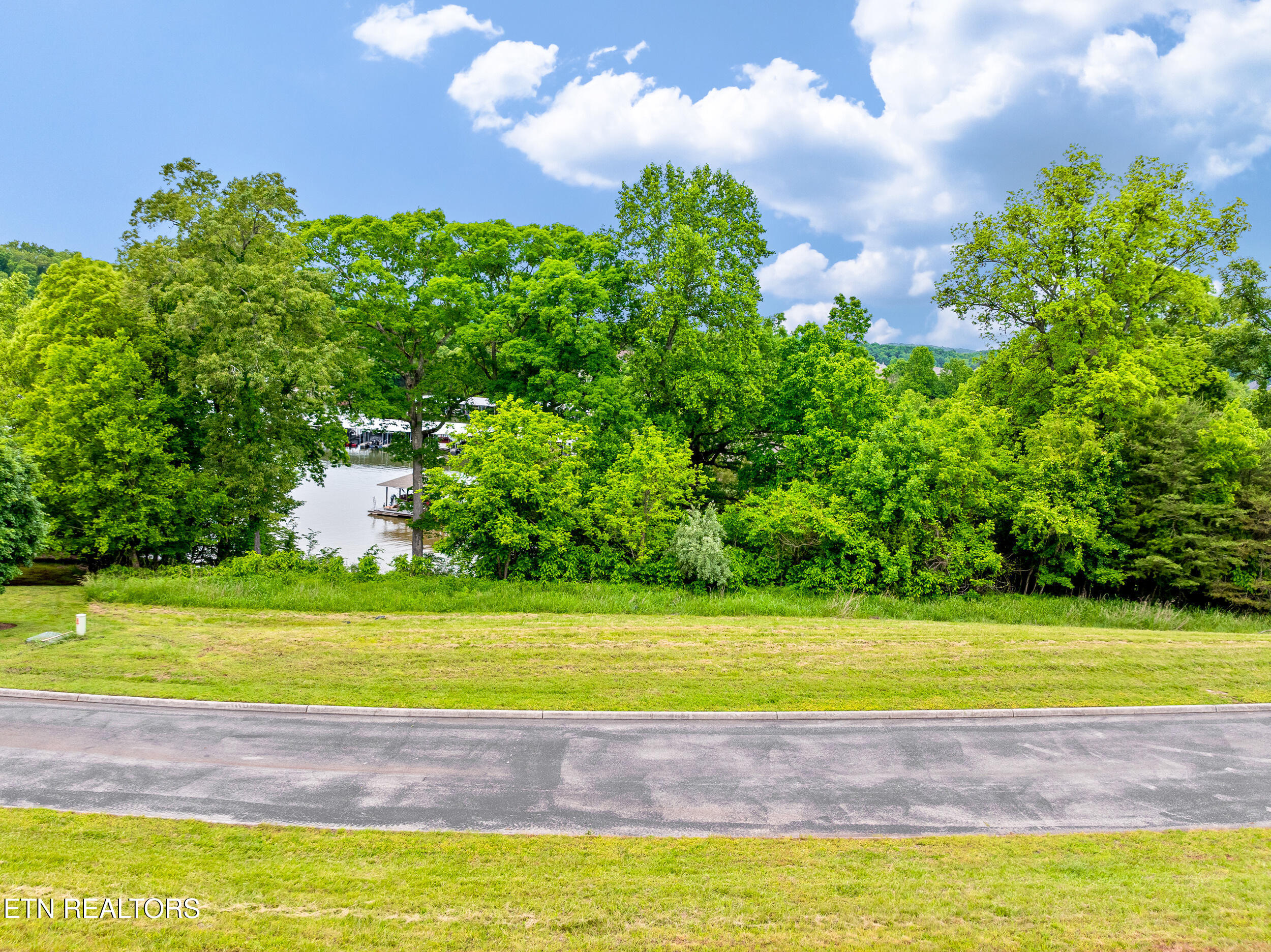 201 White Swan Drive Vonore TN 37885