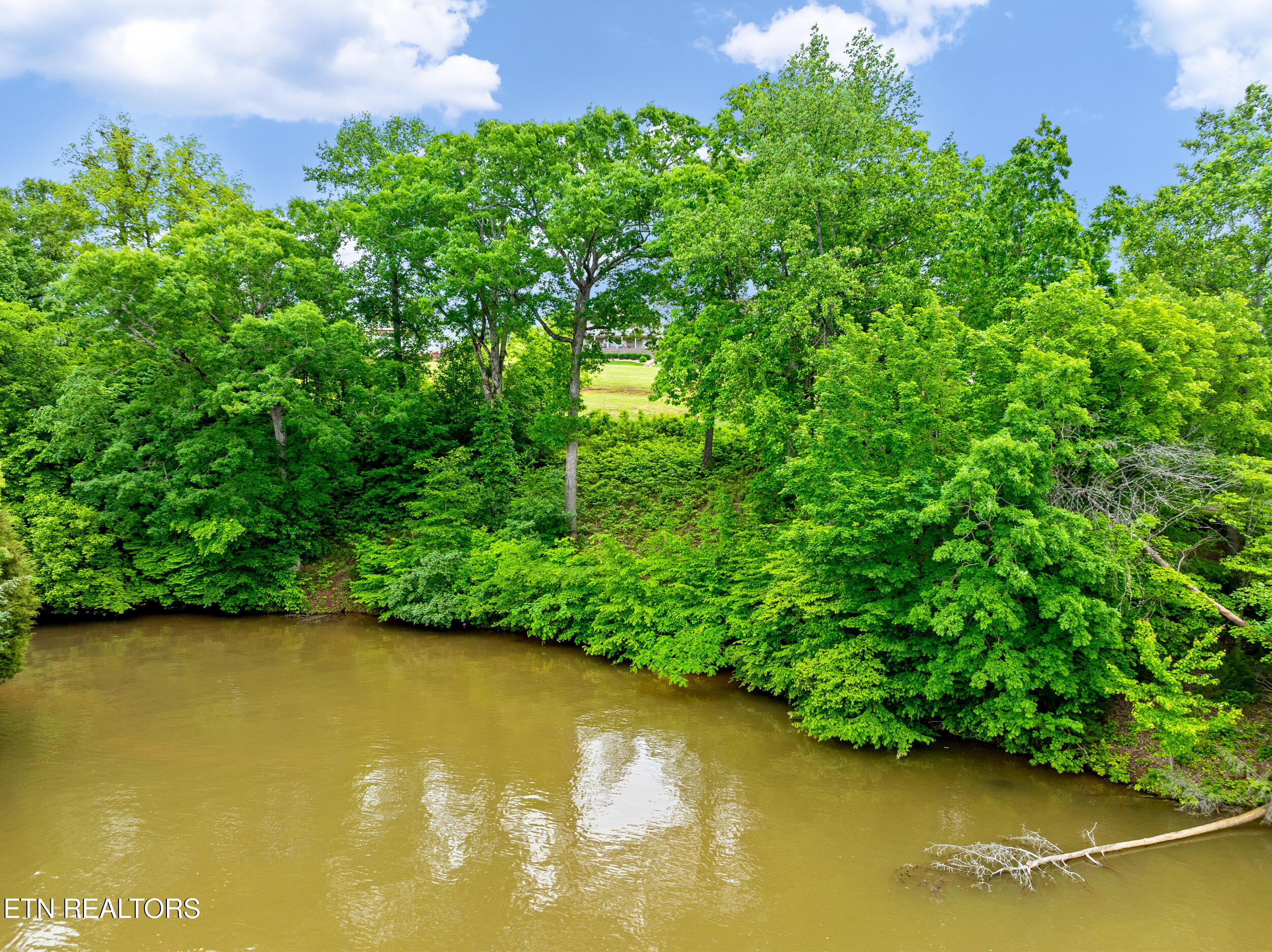201 White Swan Drive Vonore TN 37885