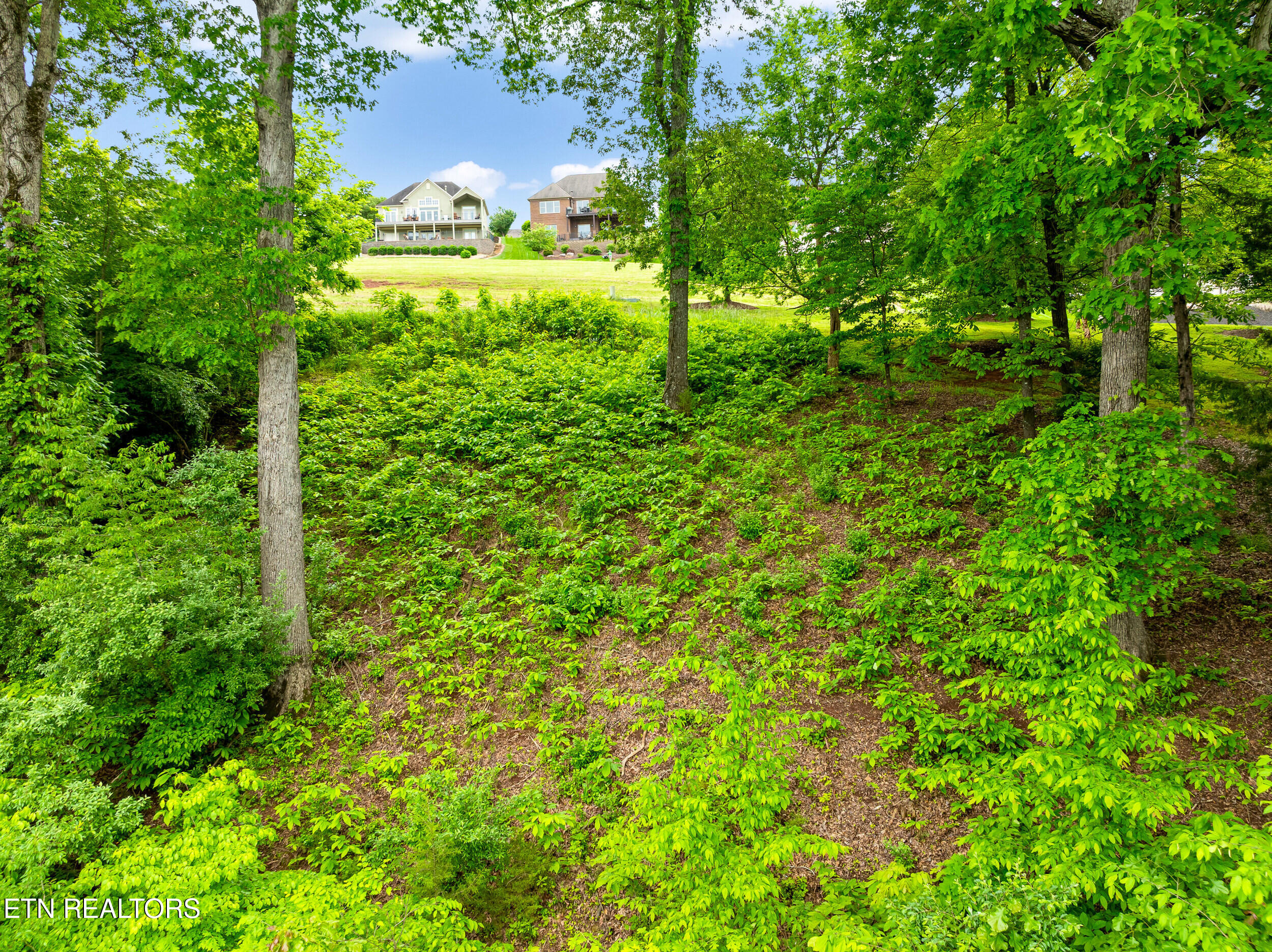 201 White Swan Drive Vonore TN 37885