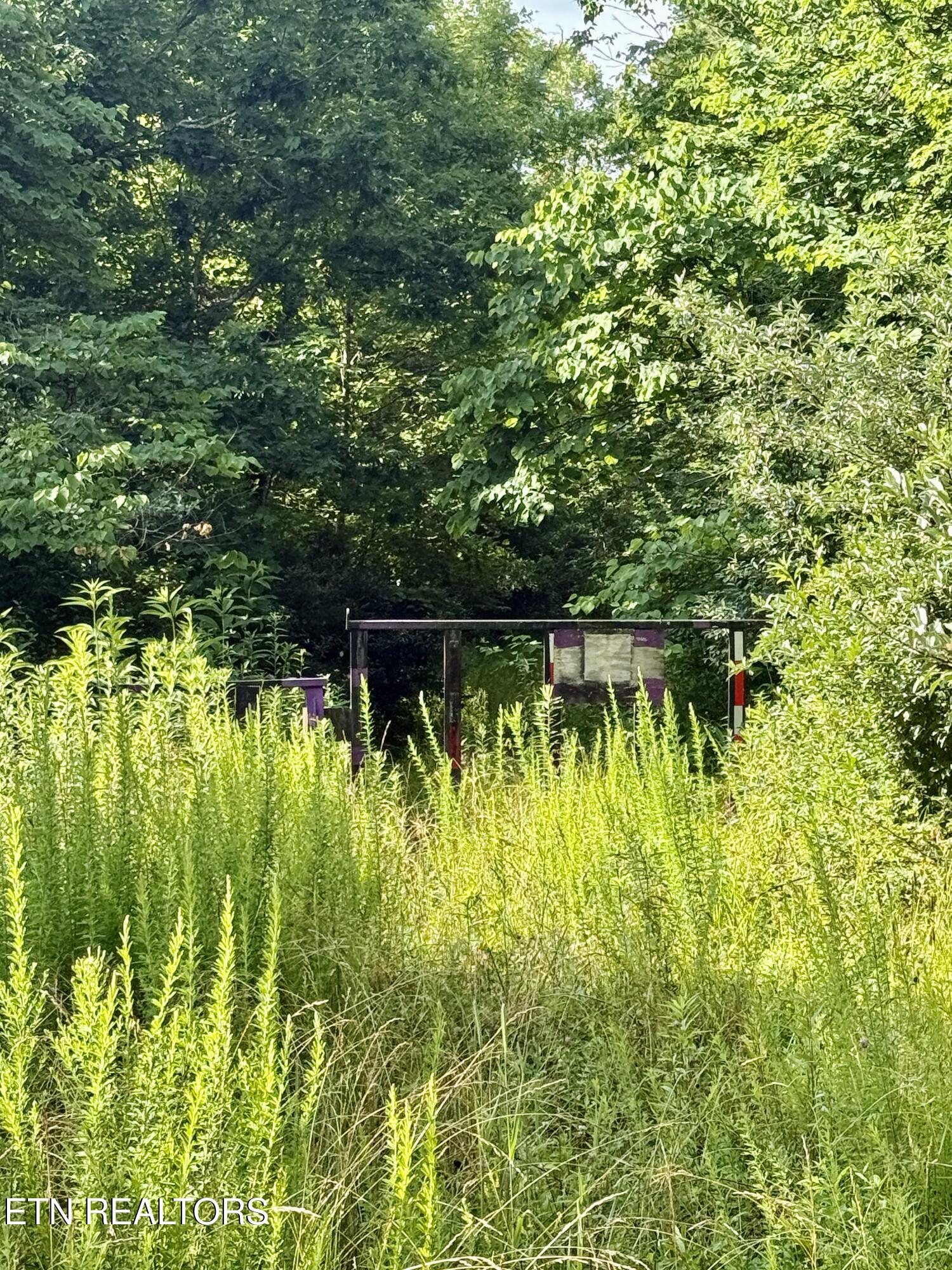 Marcum Creek Road Oneida TN 37841