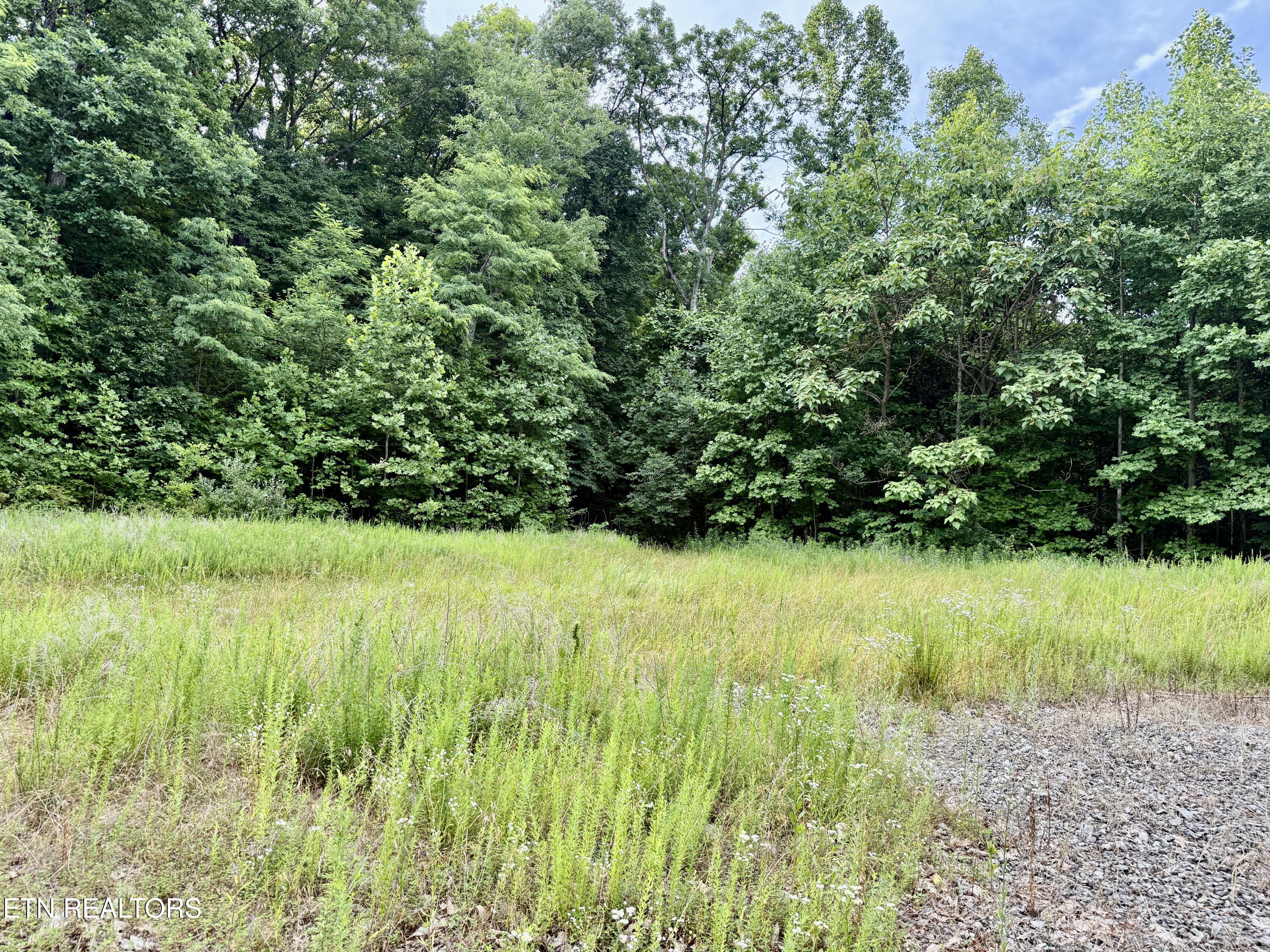 Marcum Creek Road Oneida TN 37841