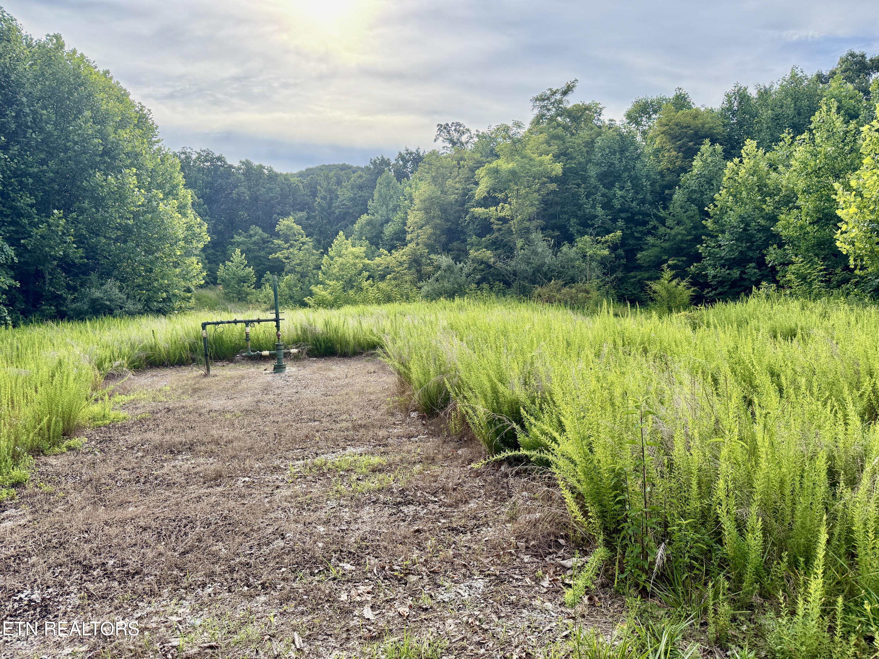 Marcum Creek Road Oneida TN 37841