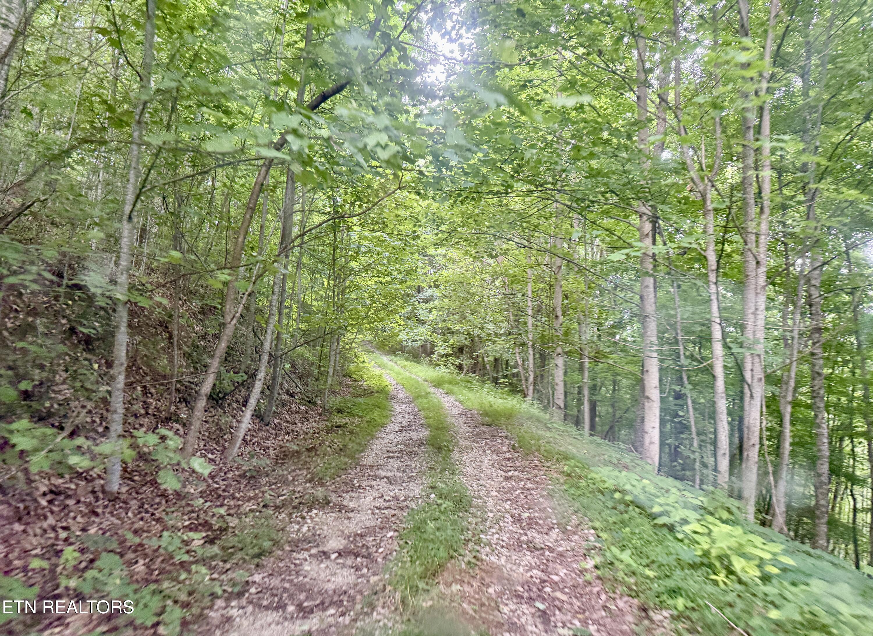 Marcum Creek Road Oneida TN 37841