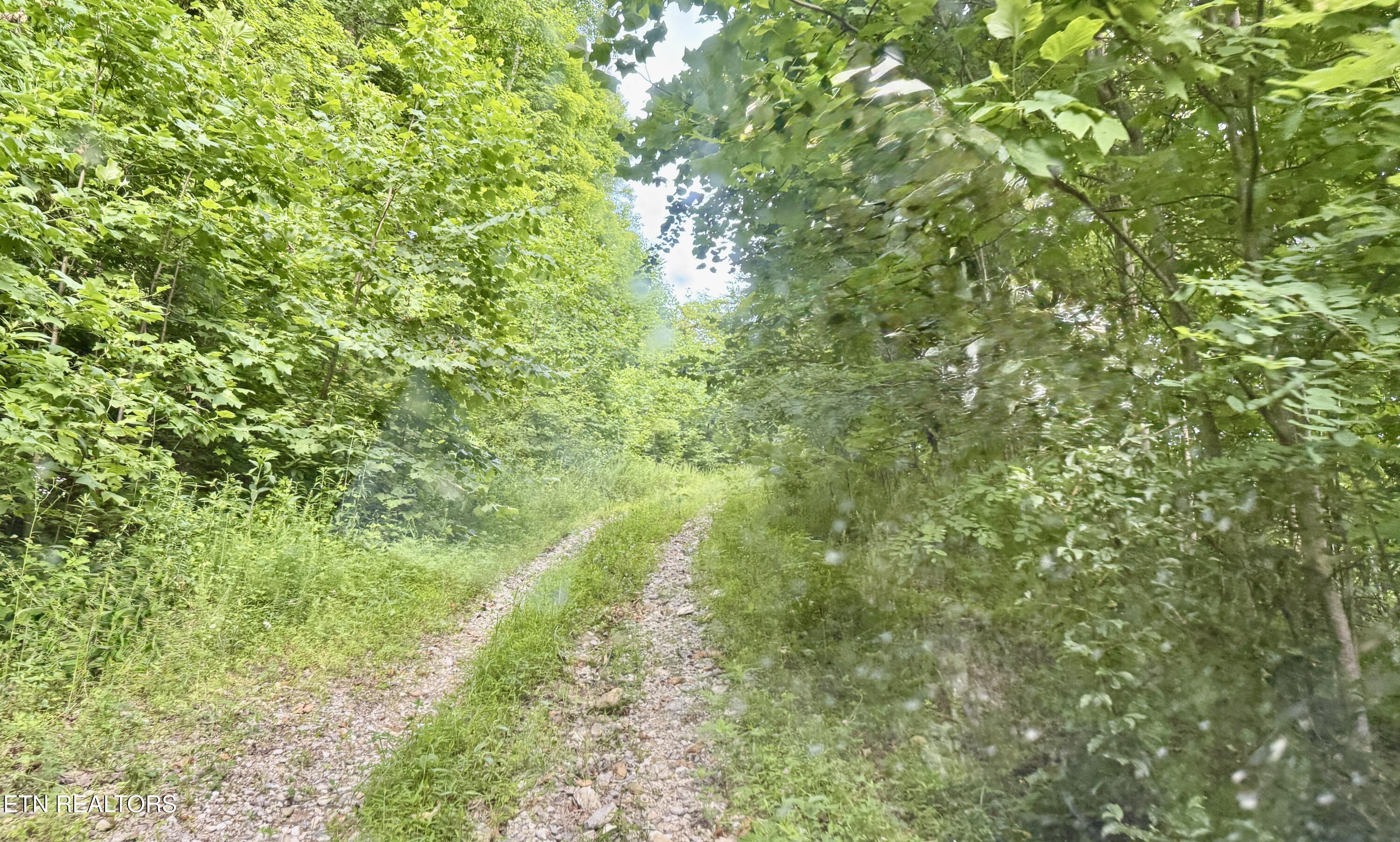 Marcum Creek Road Oneida TN 37841