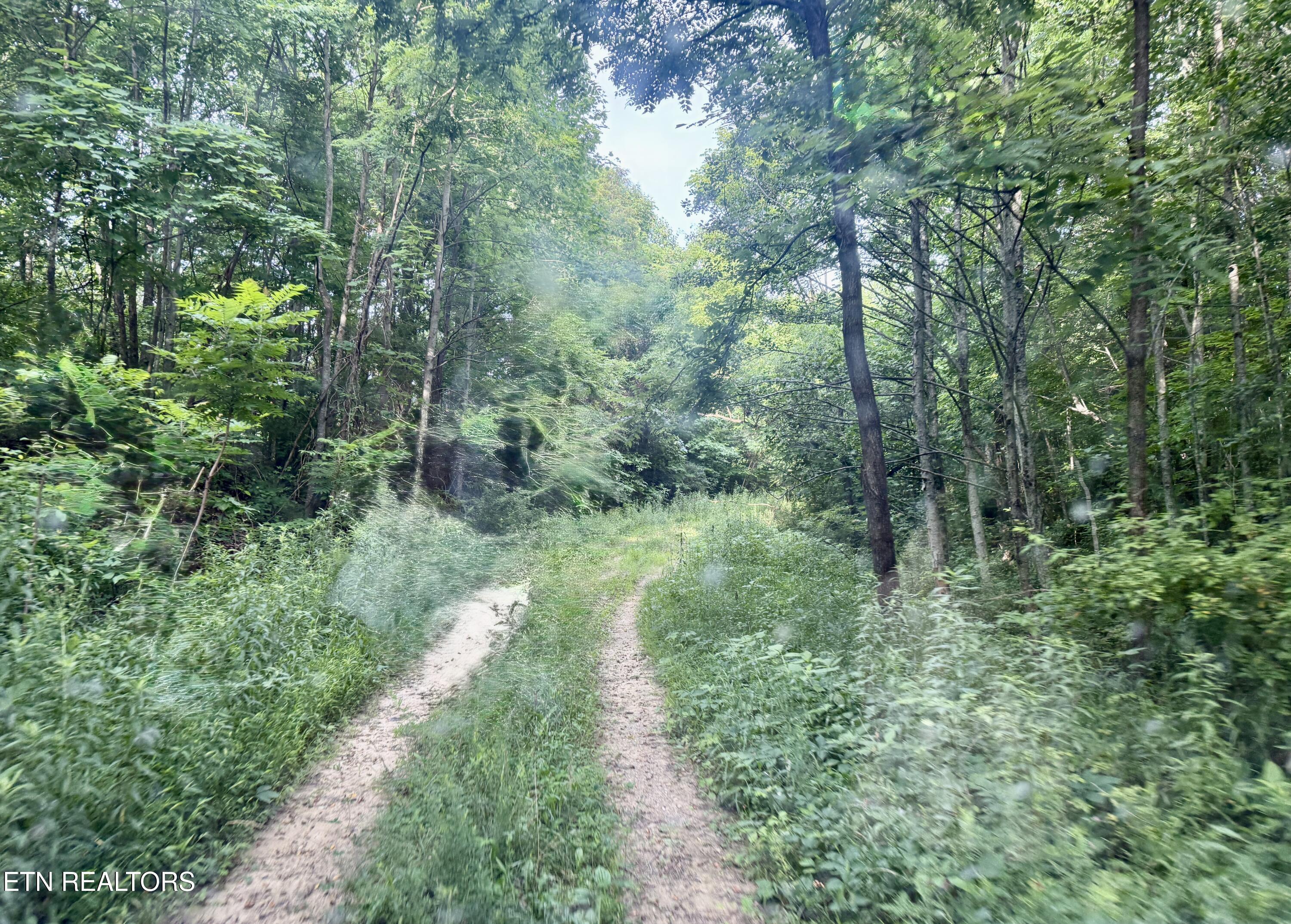 Marcum Creek Road Oneida TN 37841