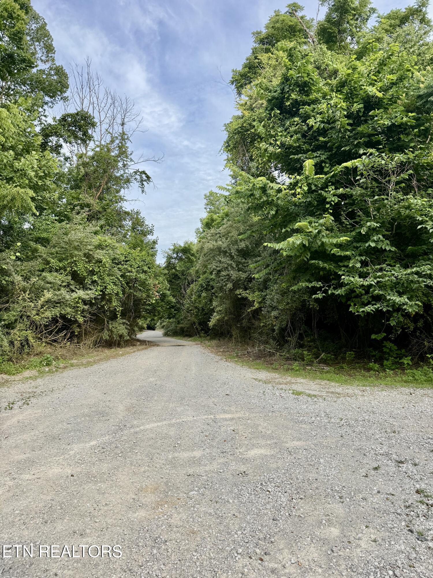 Marcum Creek Road Oneida TN 37841