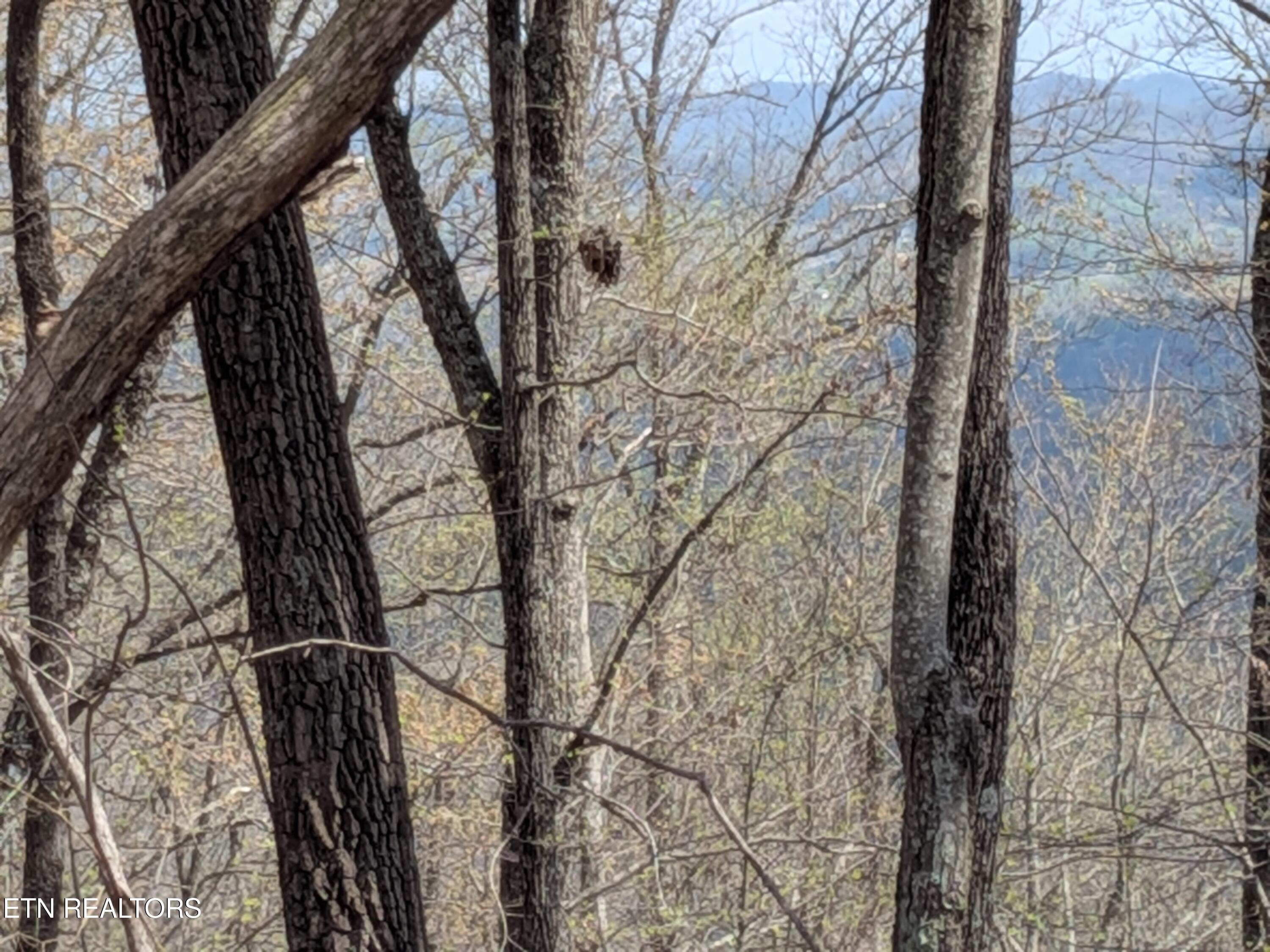 Short Moutain Road Sneedville TN 37869