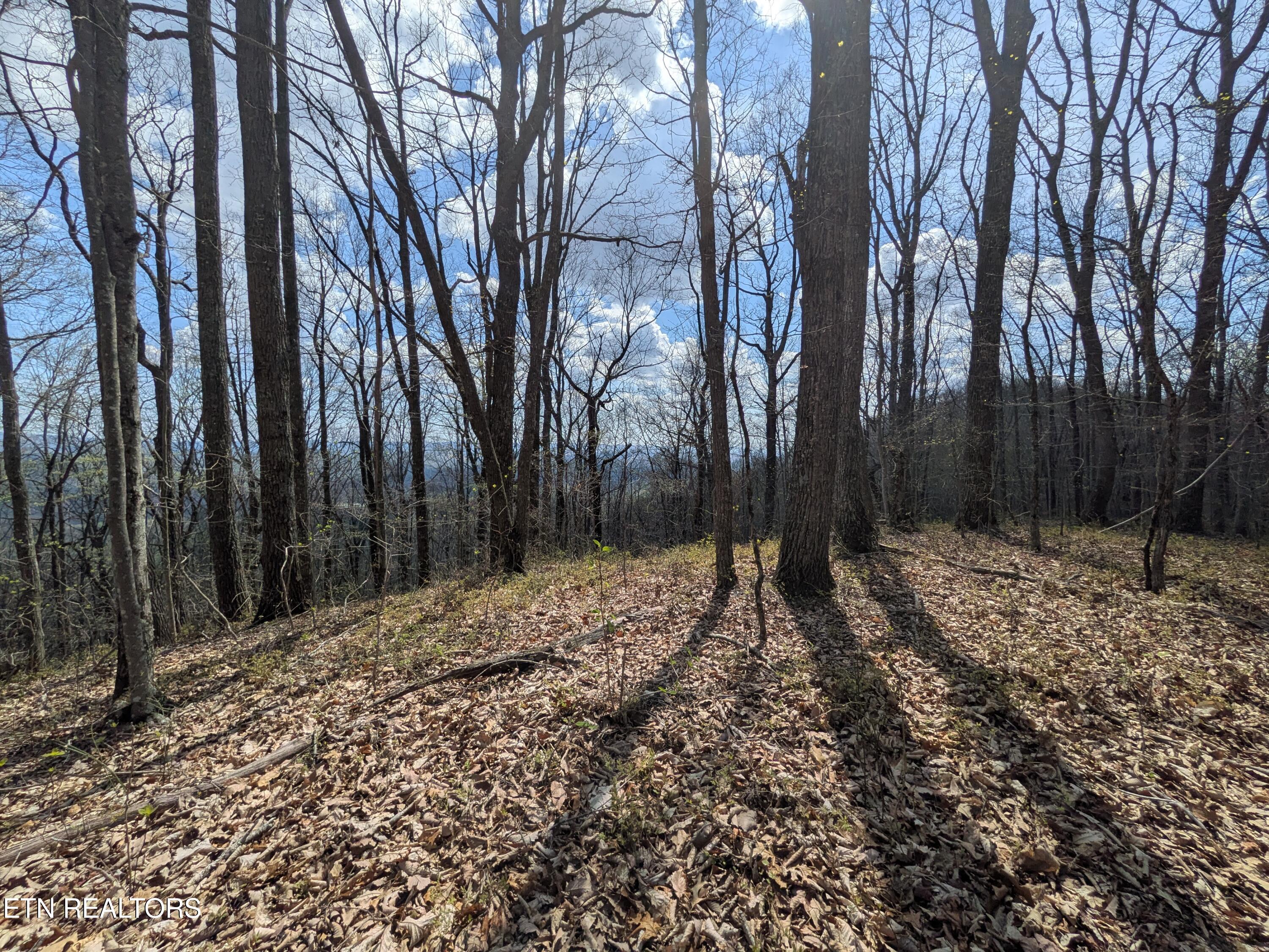 Short Moutain Road Sneedville TN 37869