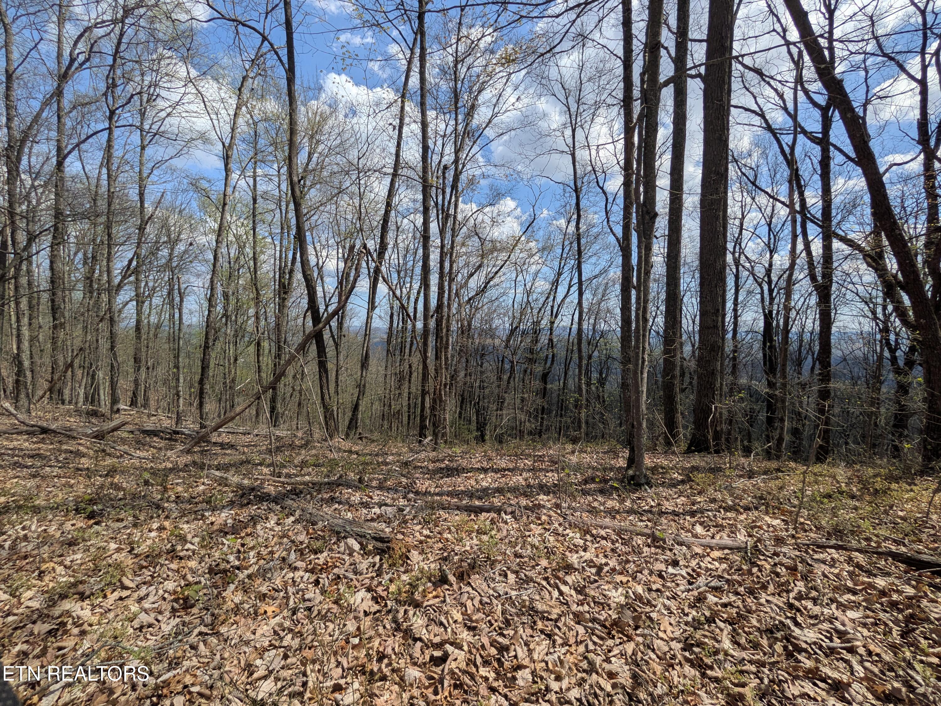 Short Moutain Road Sneedville TN 37869