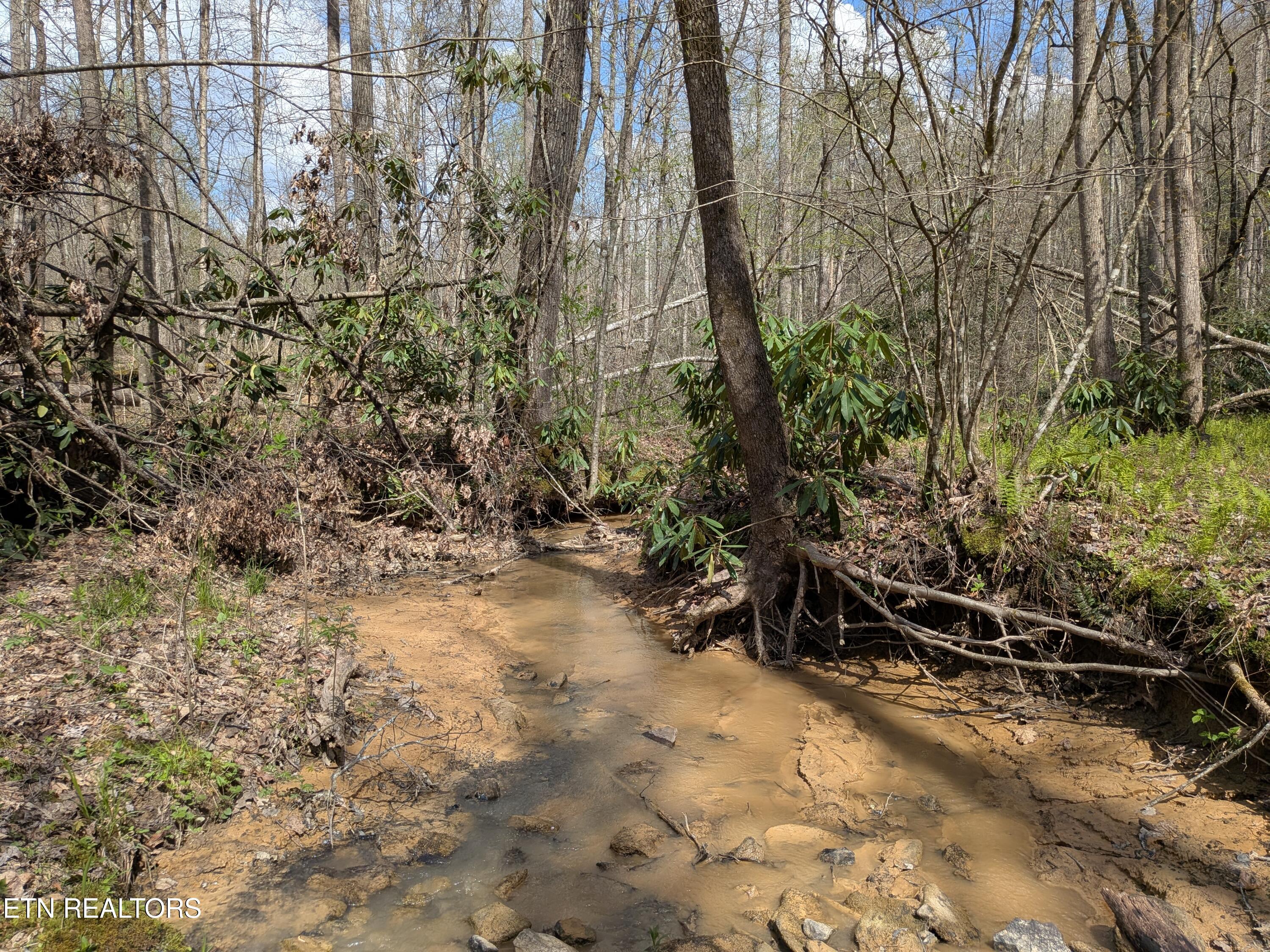 Short Moutain Road Sneedville TN 37869
