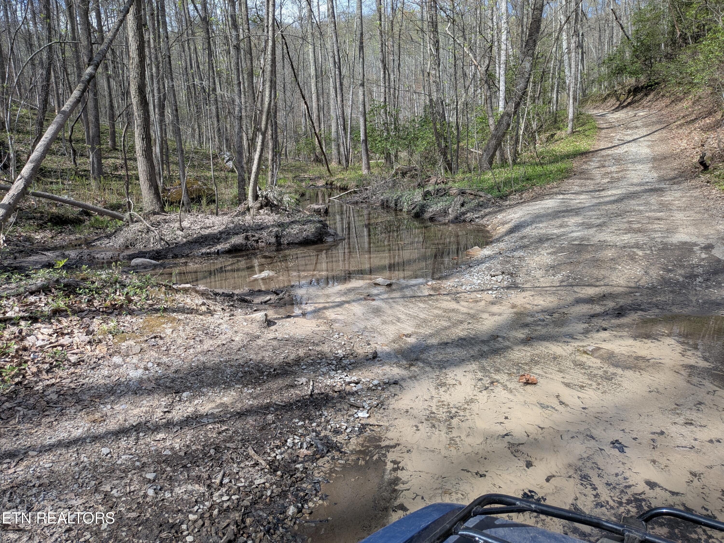 Short Moutain Road Sneedville TN 37869