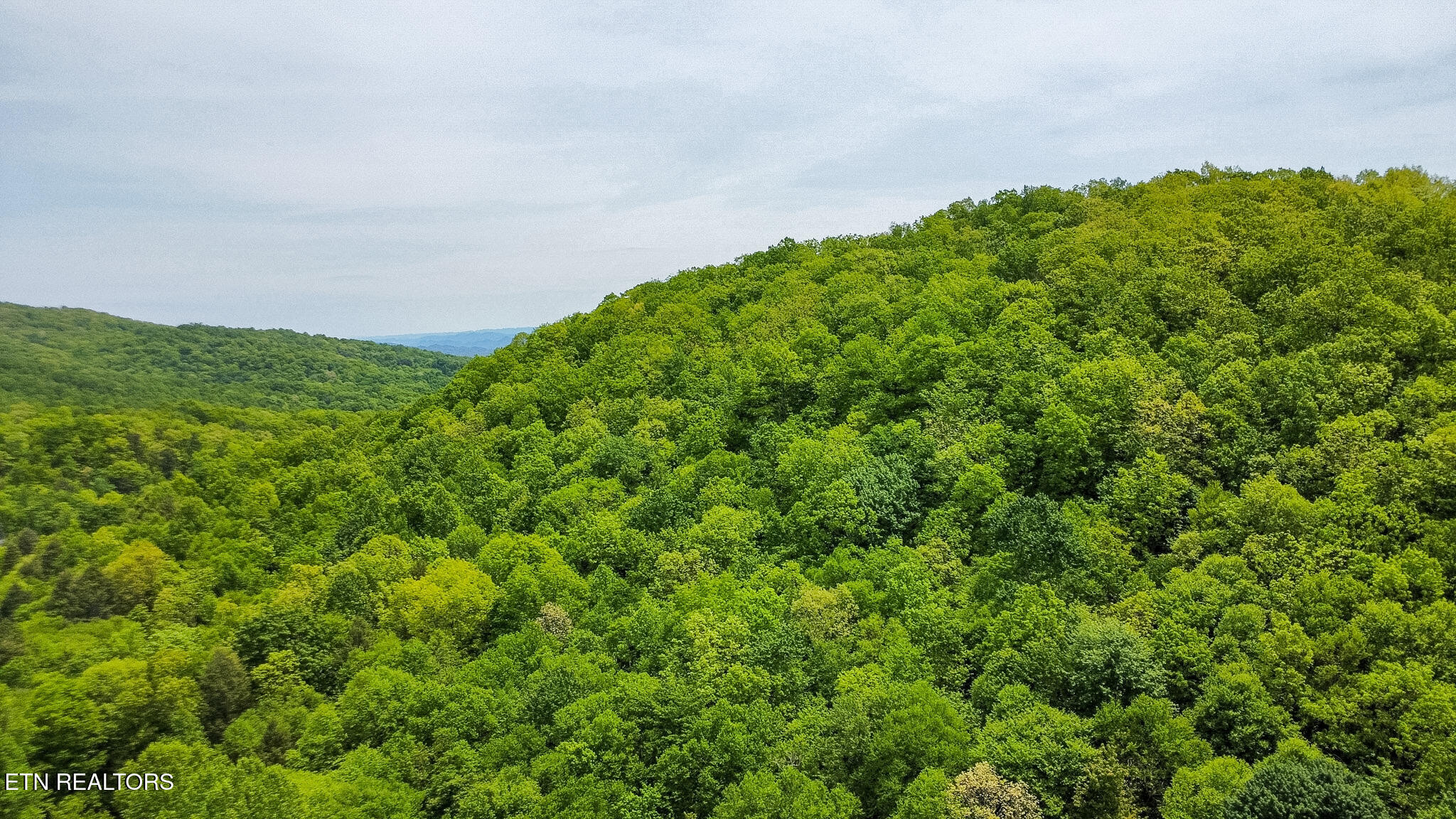 Short Moutain Road Sneedville TN 37869