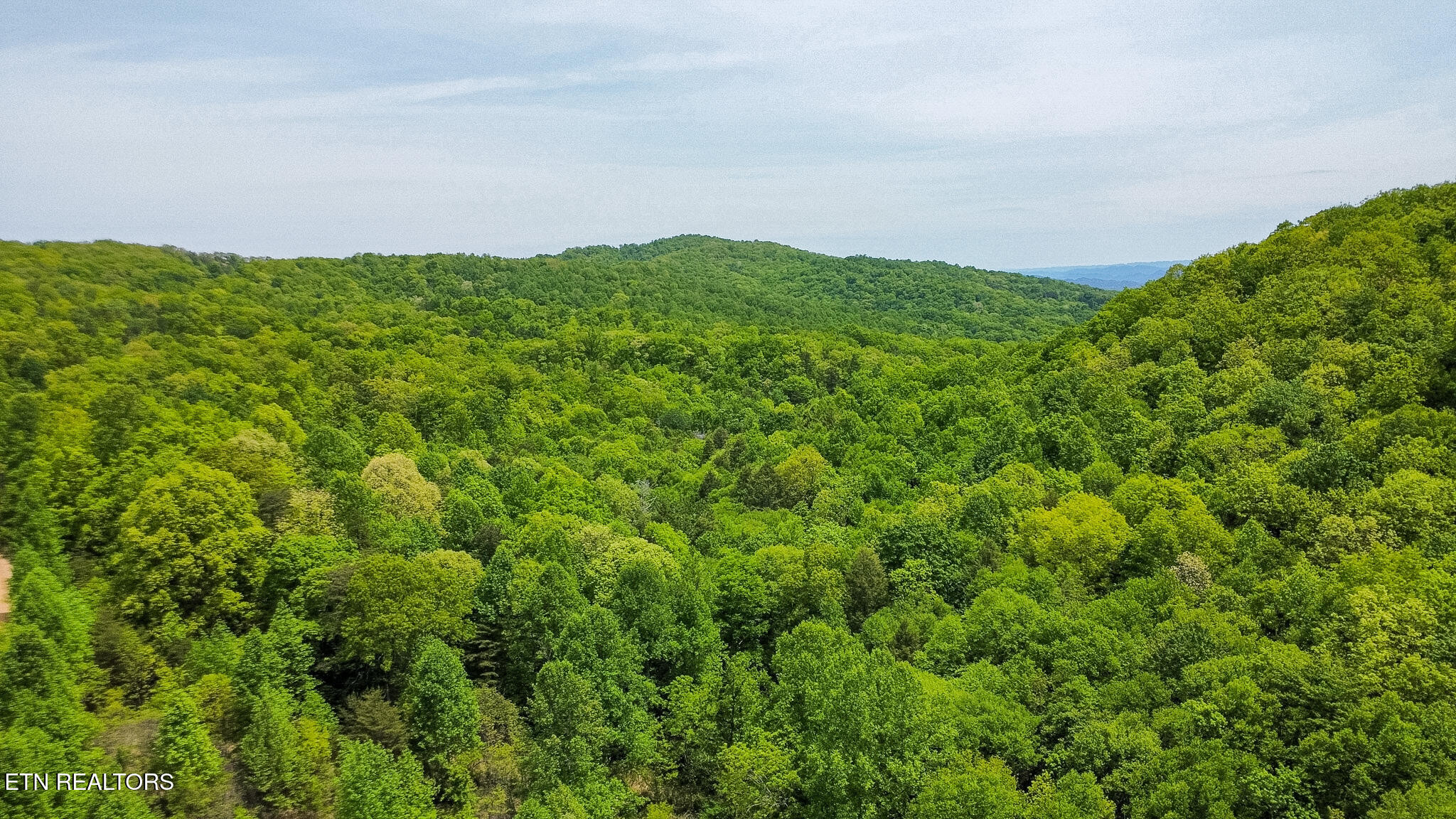 Short Moutain Road Sneedville TN 37869
