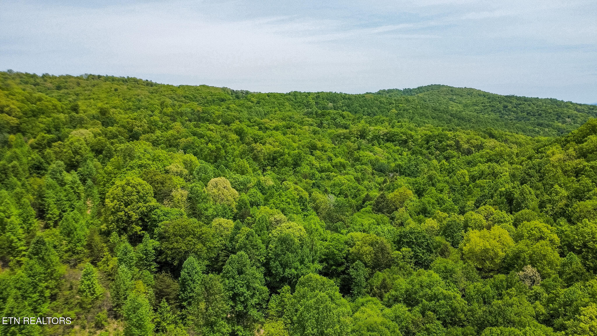 Short Moutain Road Sneedville TN 37869