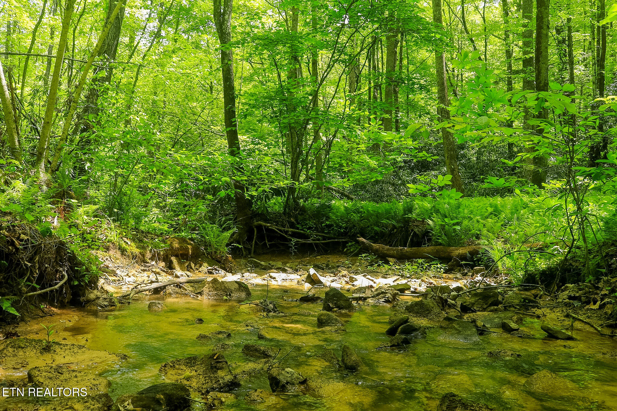 Short Moutain Road Sneedville TN 37869