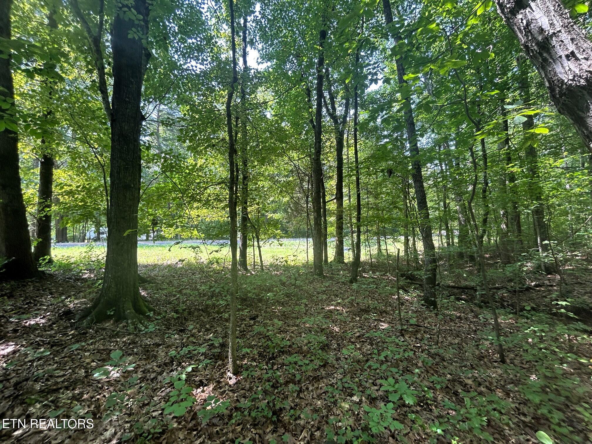 Lakeview 2 Highway 304 Ten Mile TN 37880