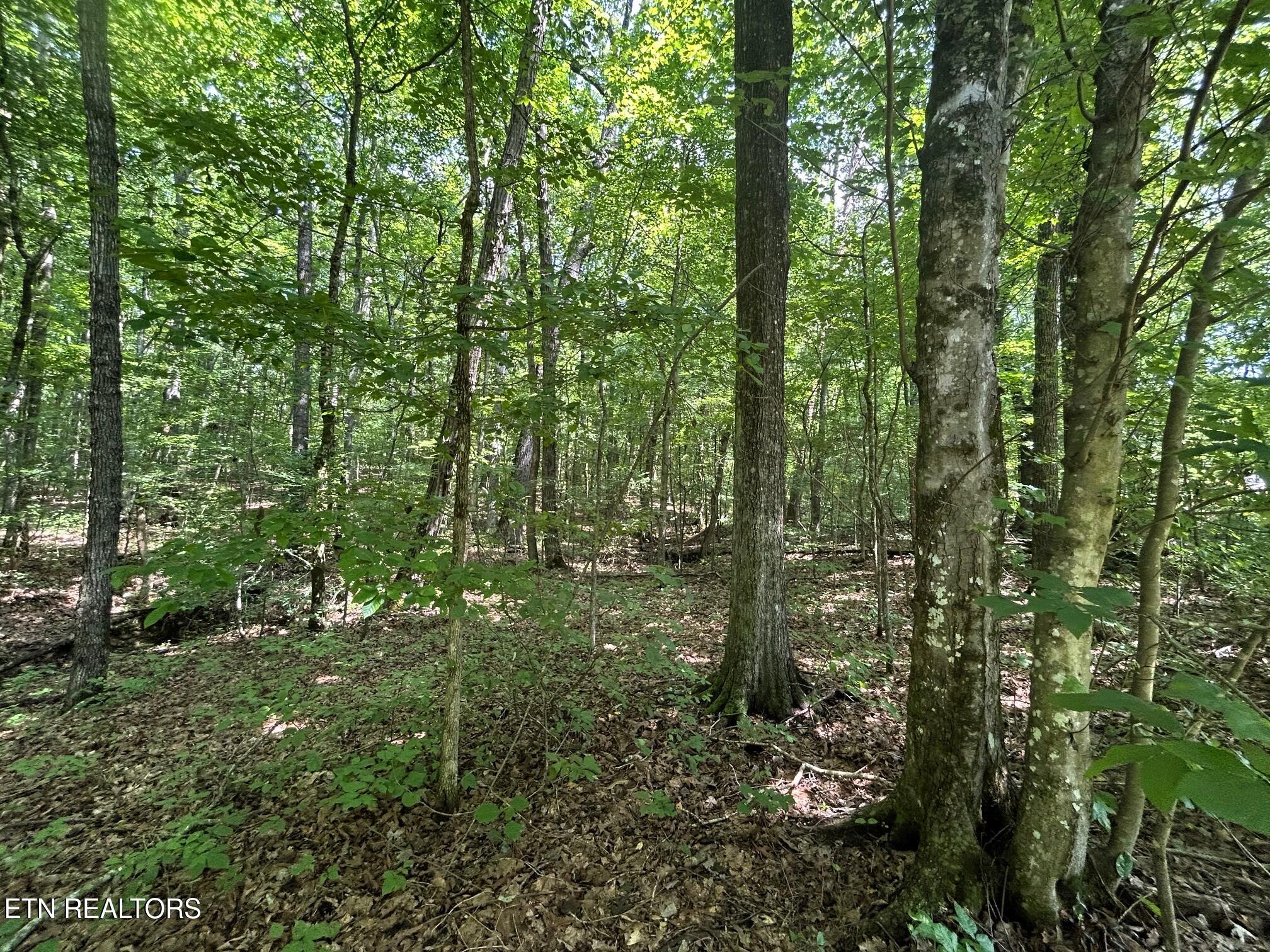 Lakeview 2 Highway 304 Ten Mile TN 37880