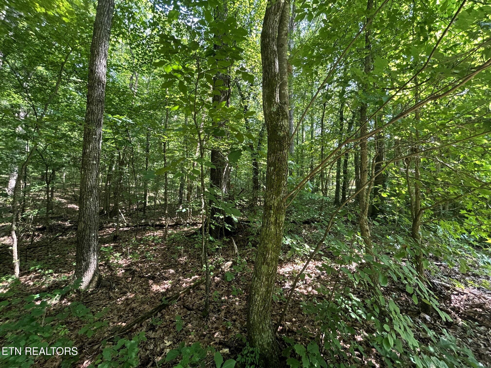 Lakeview 2 Highway 304 Ten Mile TN 37880