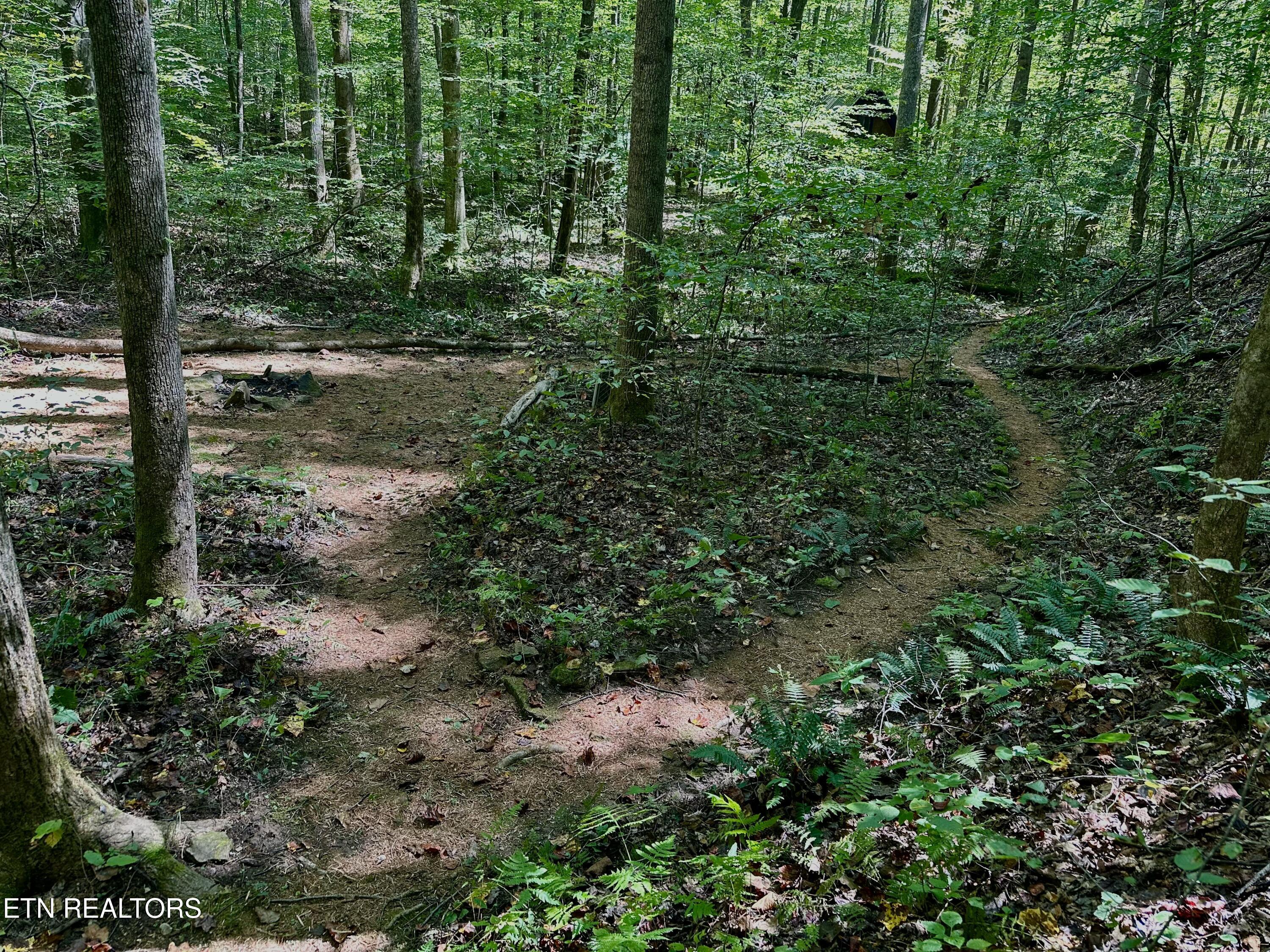 755 Bear Branch Road Wartburg TN 37887
