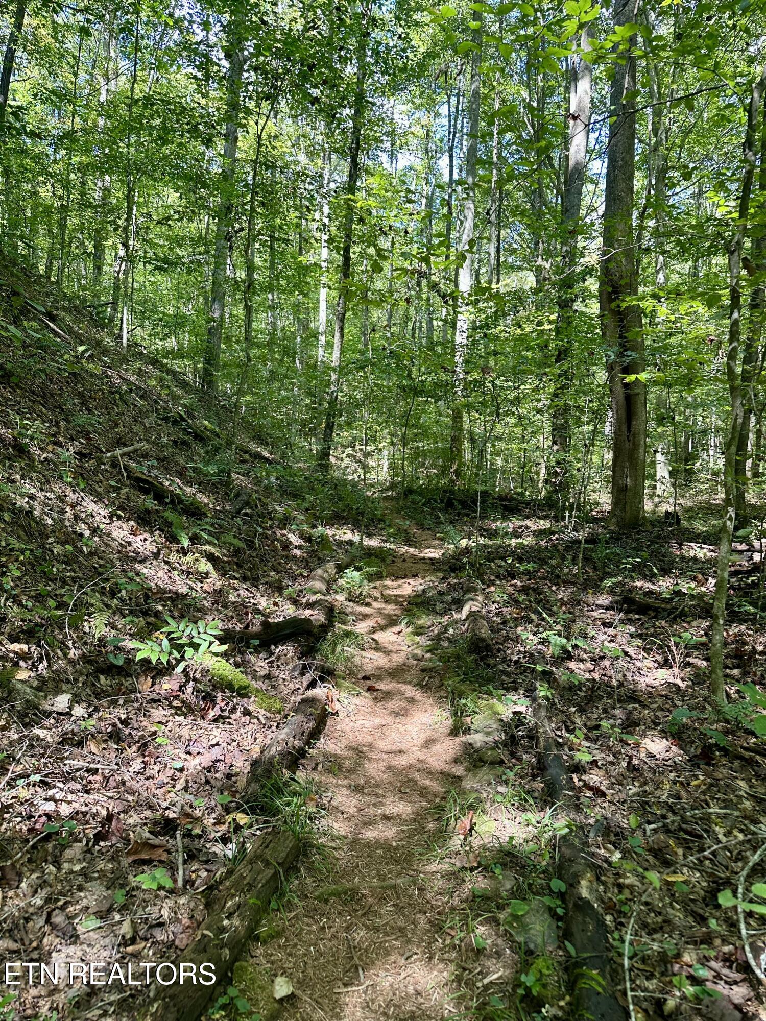 755 Bear Branch Road Wartburg TN 37887