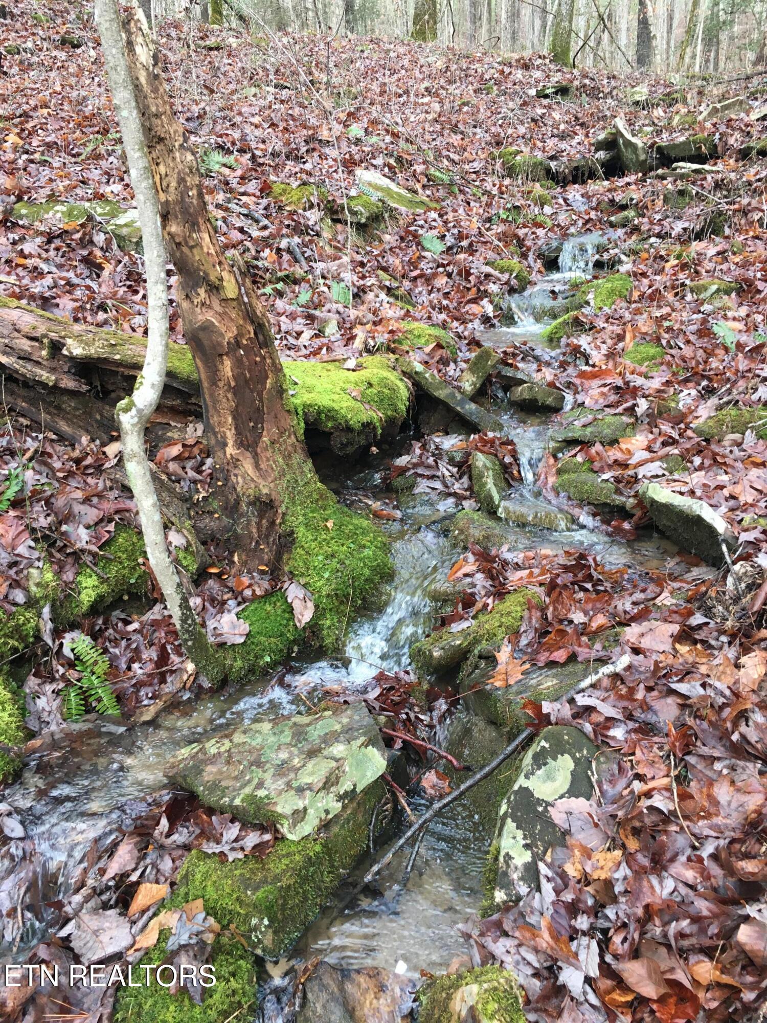 755 Bear Branch Road Wartburg TN 37887