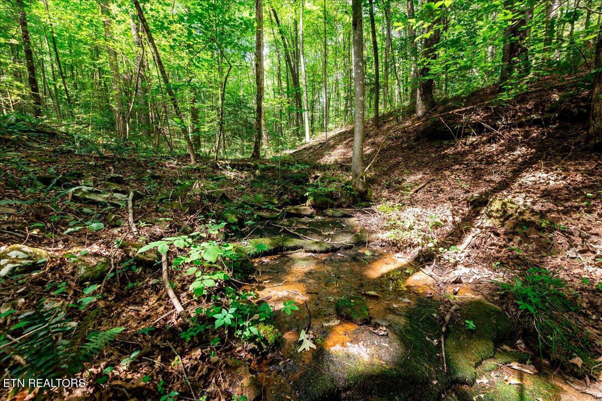 755 Bear Branch Road Wartburg TN 37887