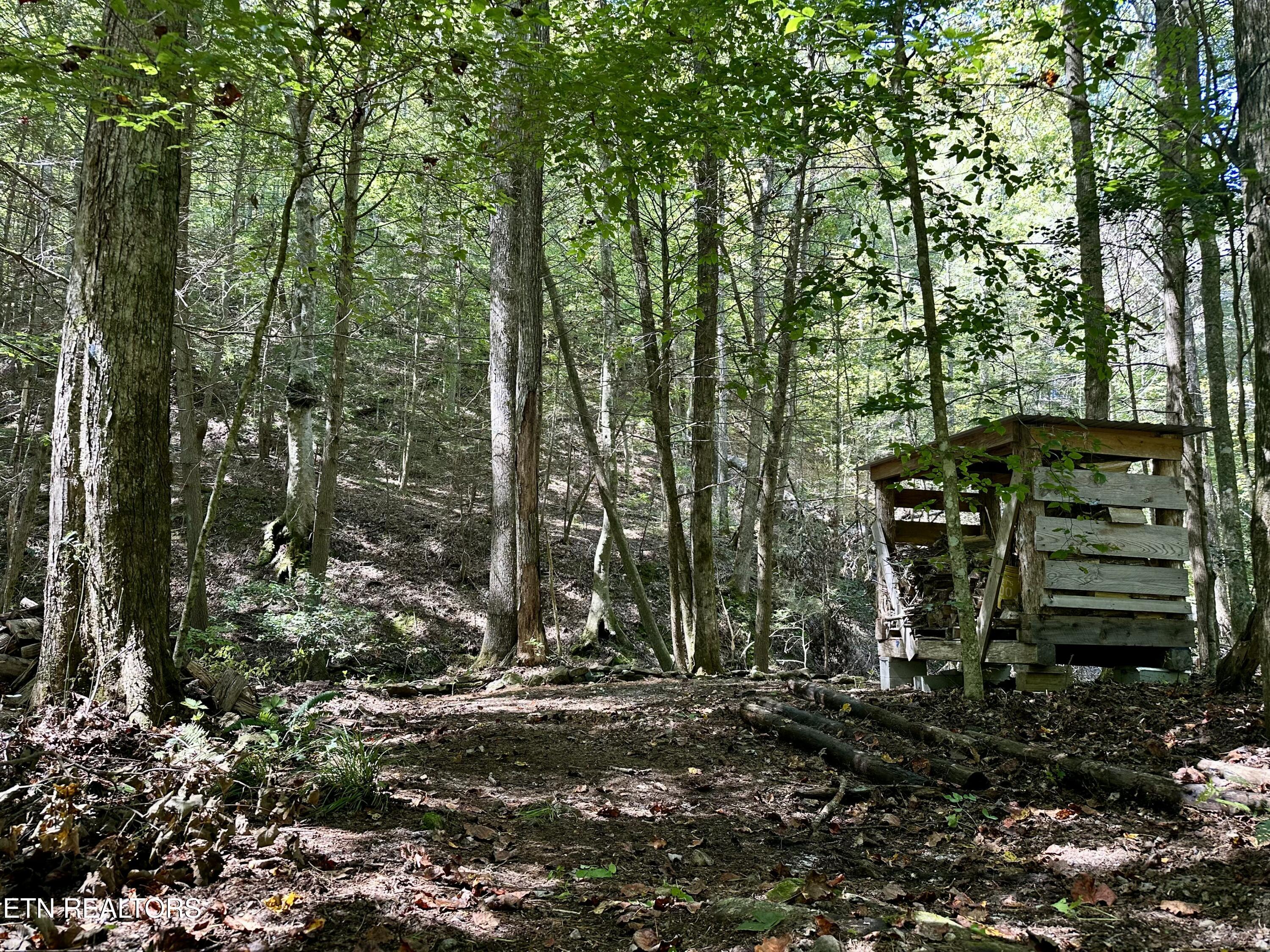 755 Bear Branch Road Wartburg TN 37887