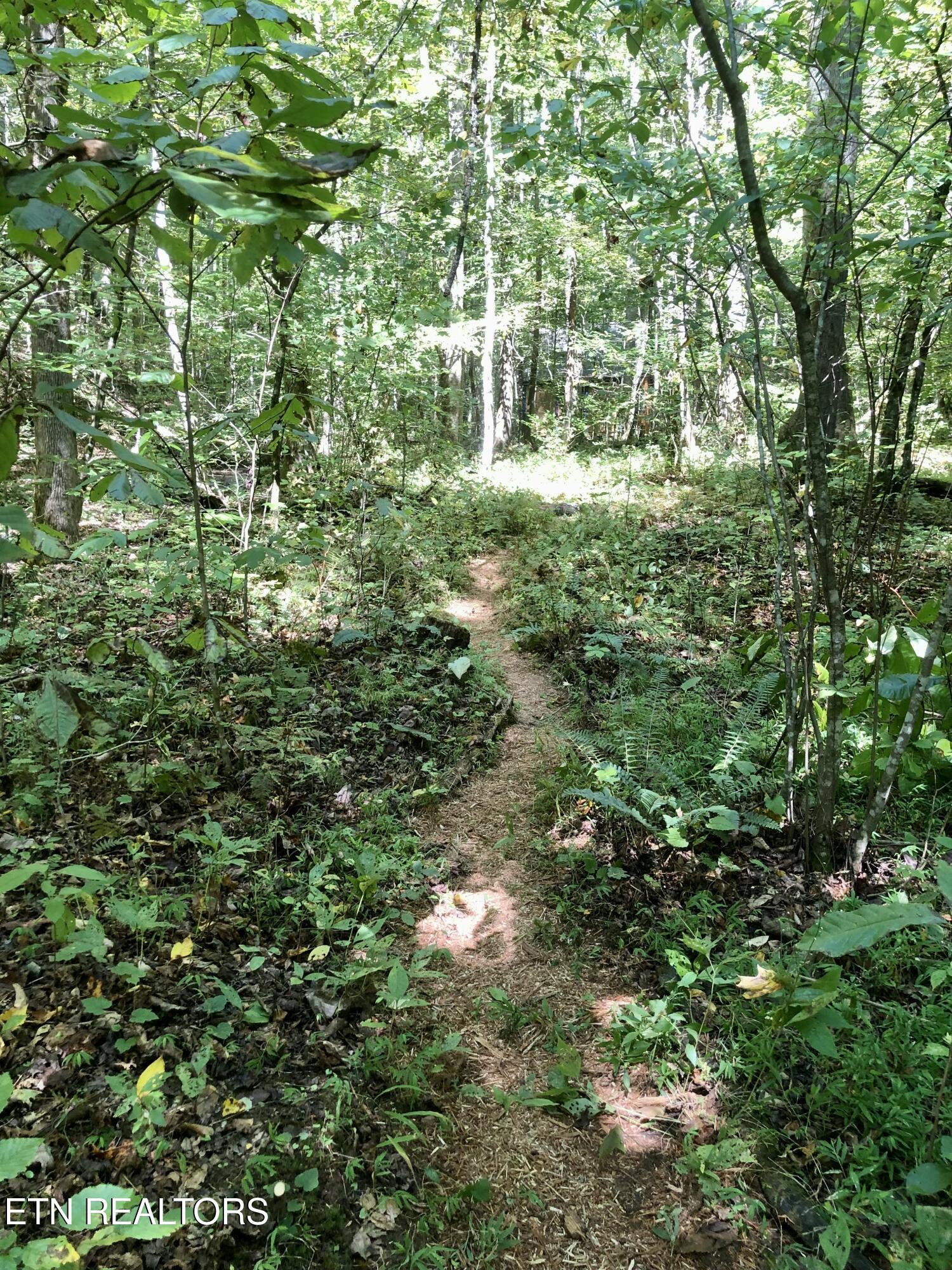 755 Bear Branch Road Wartburg TN 37887