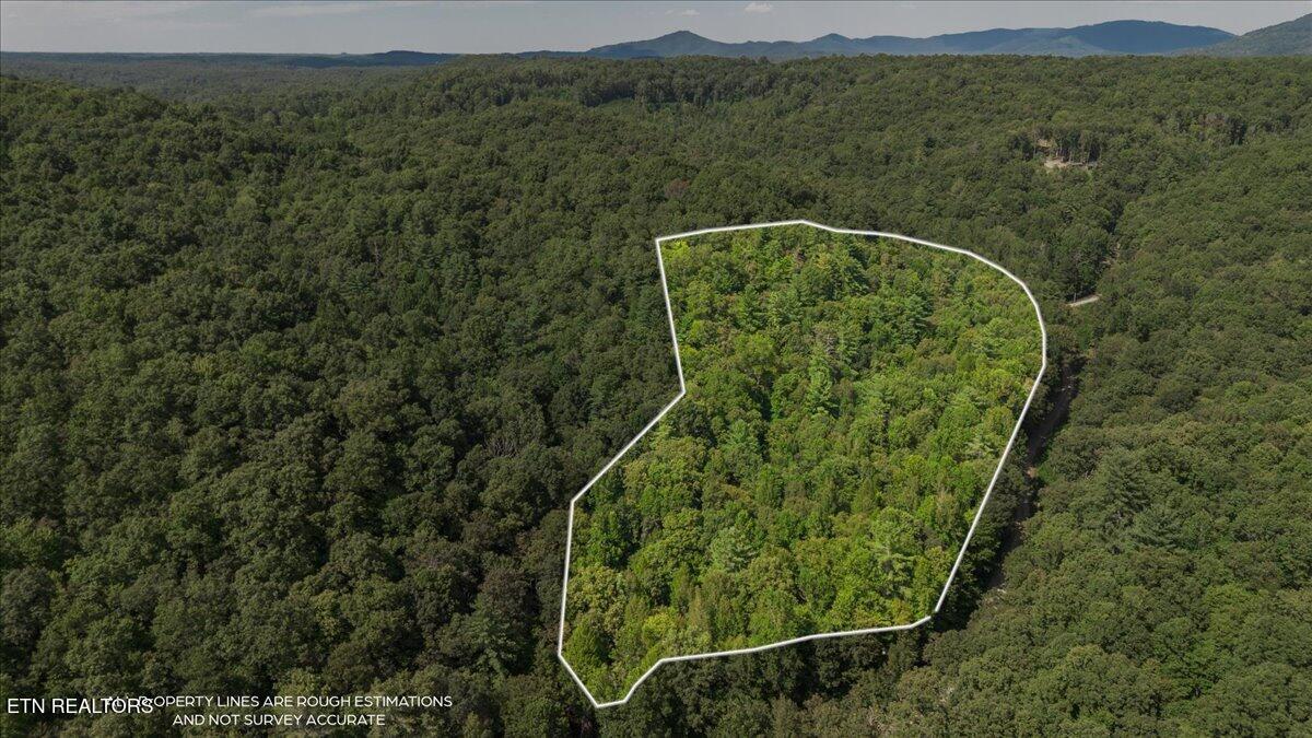 755 Bear Branch Road Wartburg TN 37887
