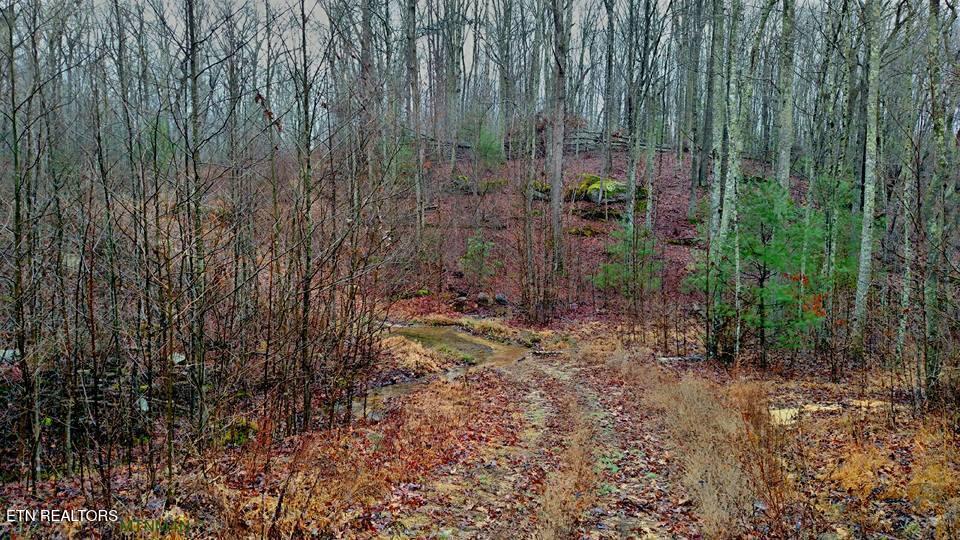 755 Bear Branch Road Wartburg TN 37887