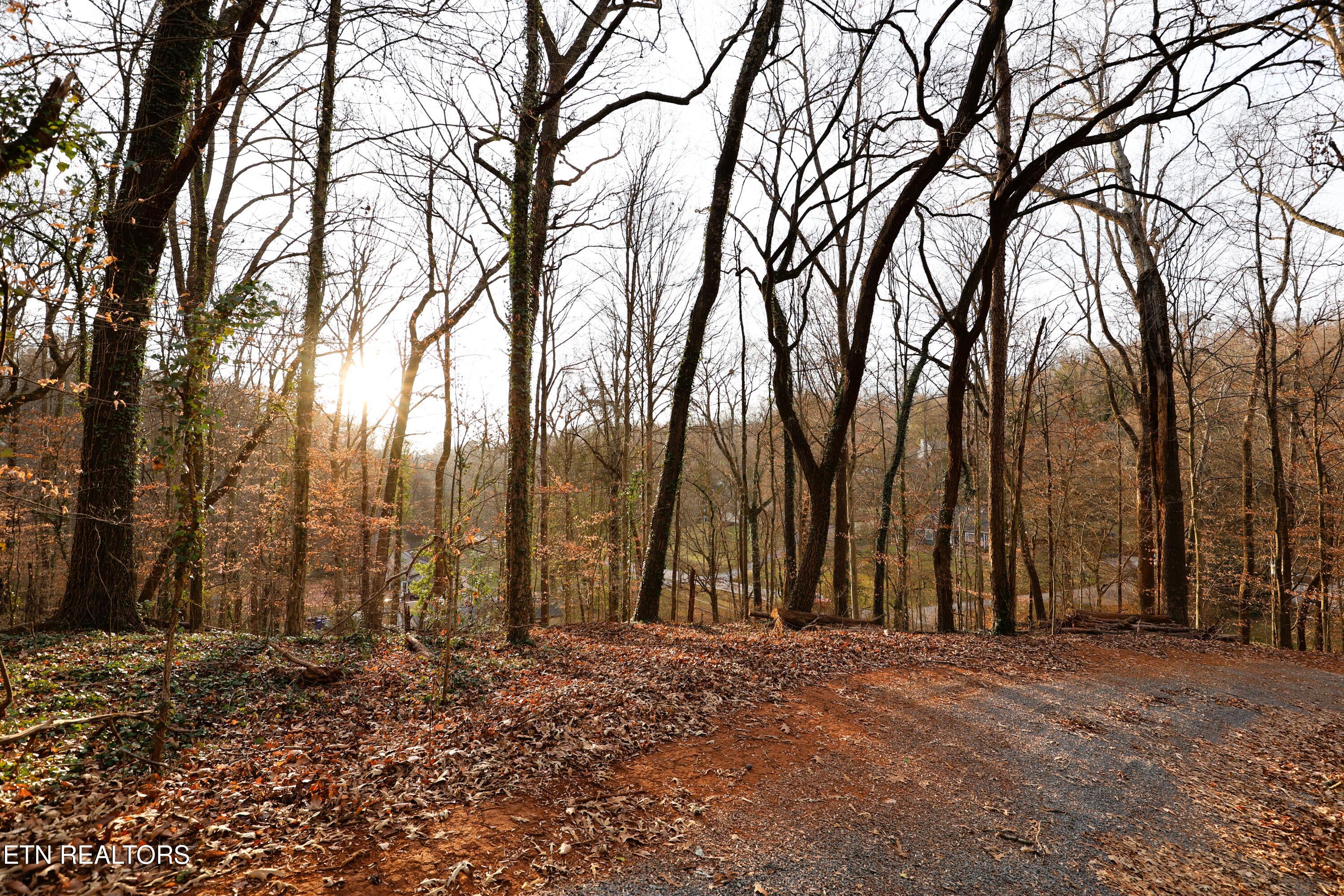 Montlake Lot 2 Drive Knoxville TN 37920