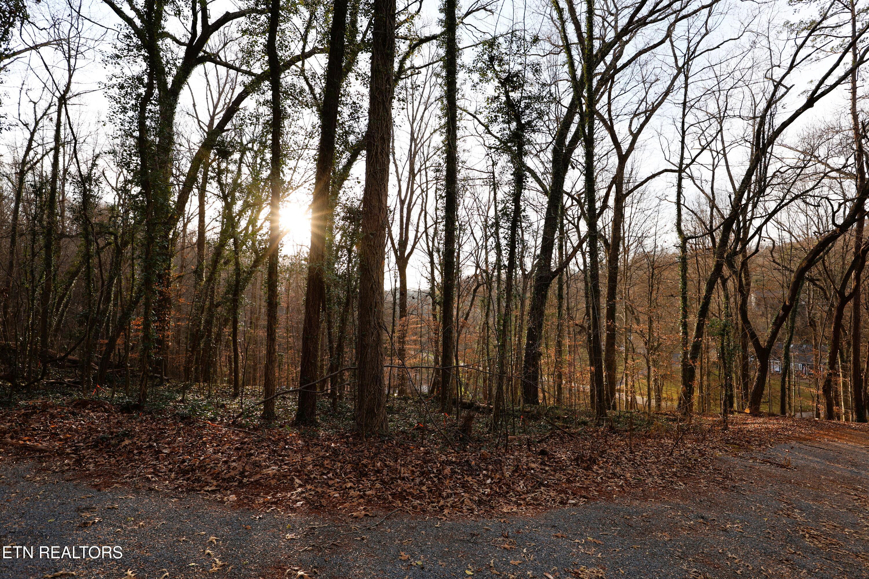 Montlake Lot 2 Drive Knoxville TN 37920