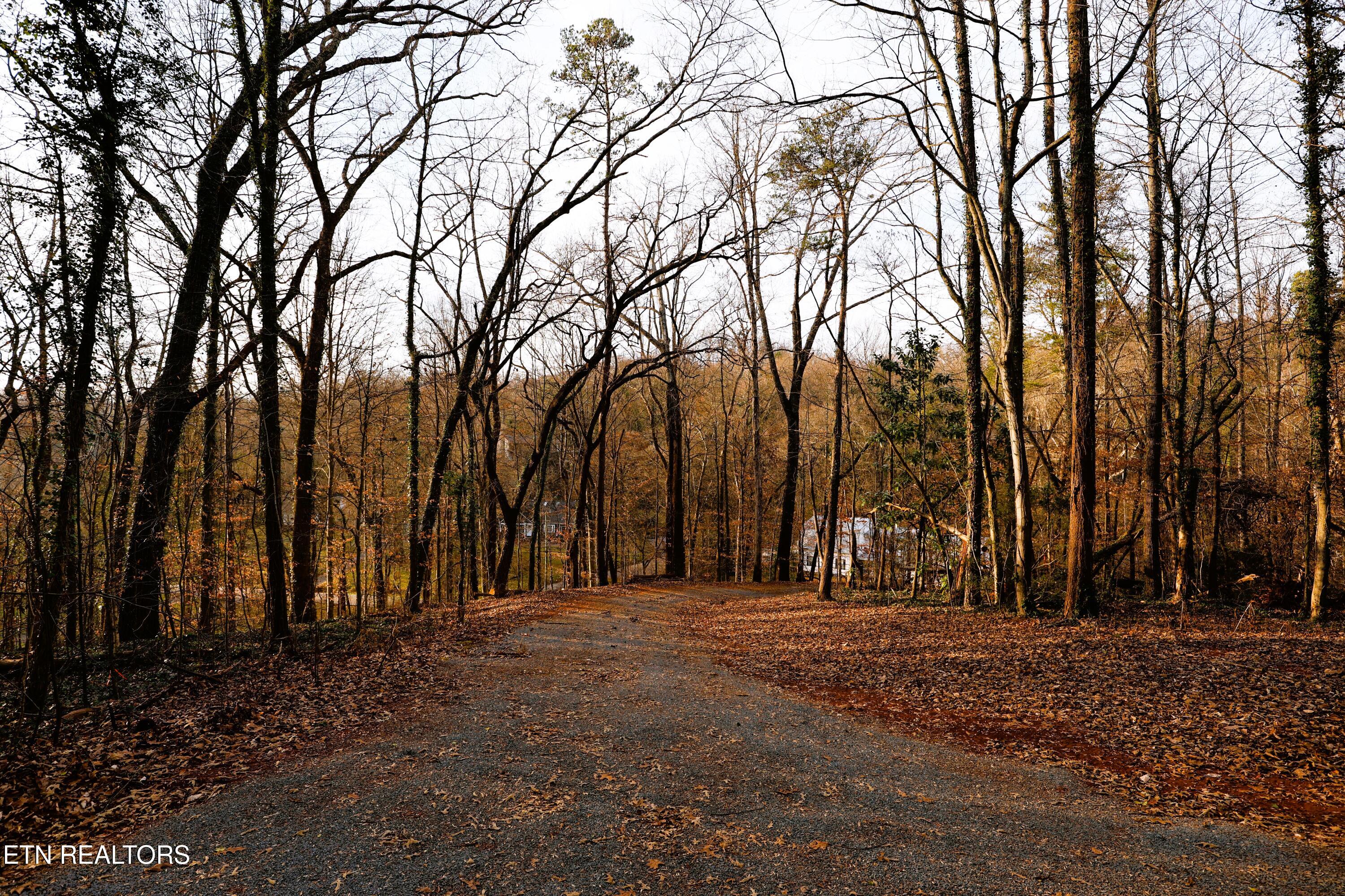 Montlake Lot 2 Drive Knoxville TN 37920