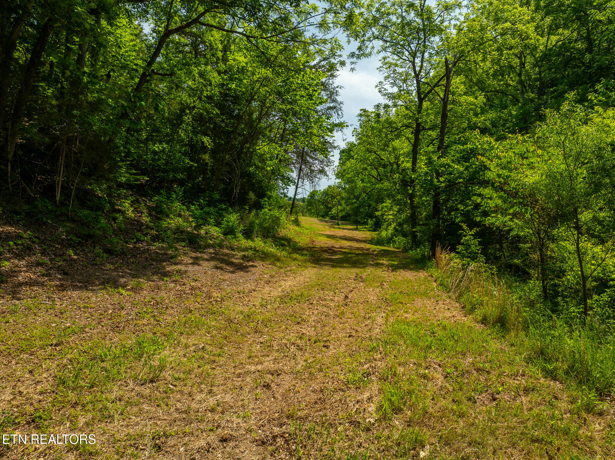 Lot 3 N Knob Creek Road Seymour TN 37865
