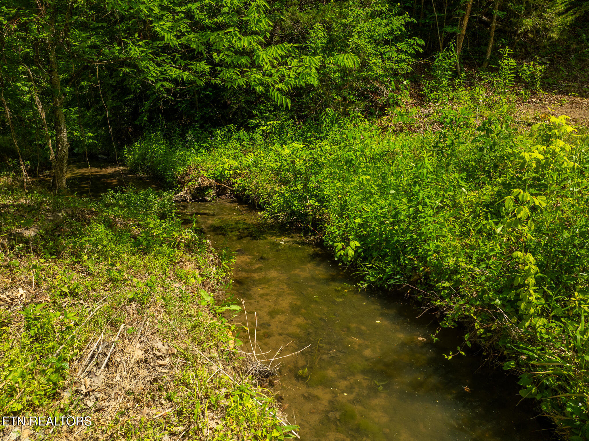 Lot 3 N Knob Creek Road Seymour TN 37865