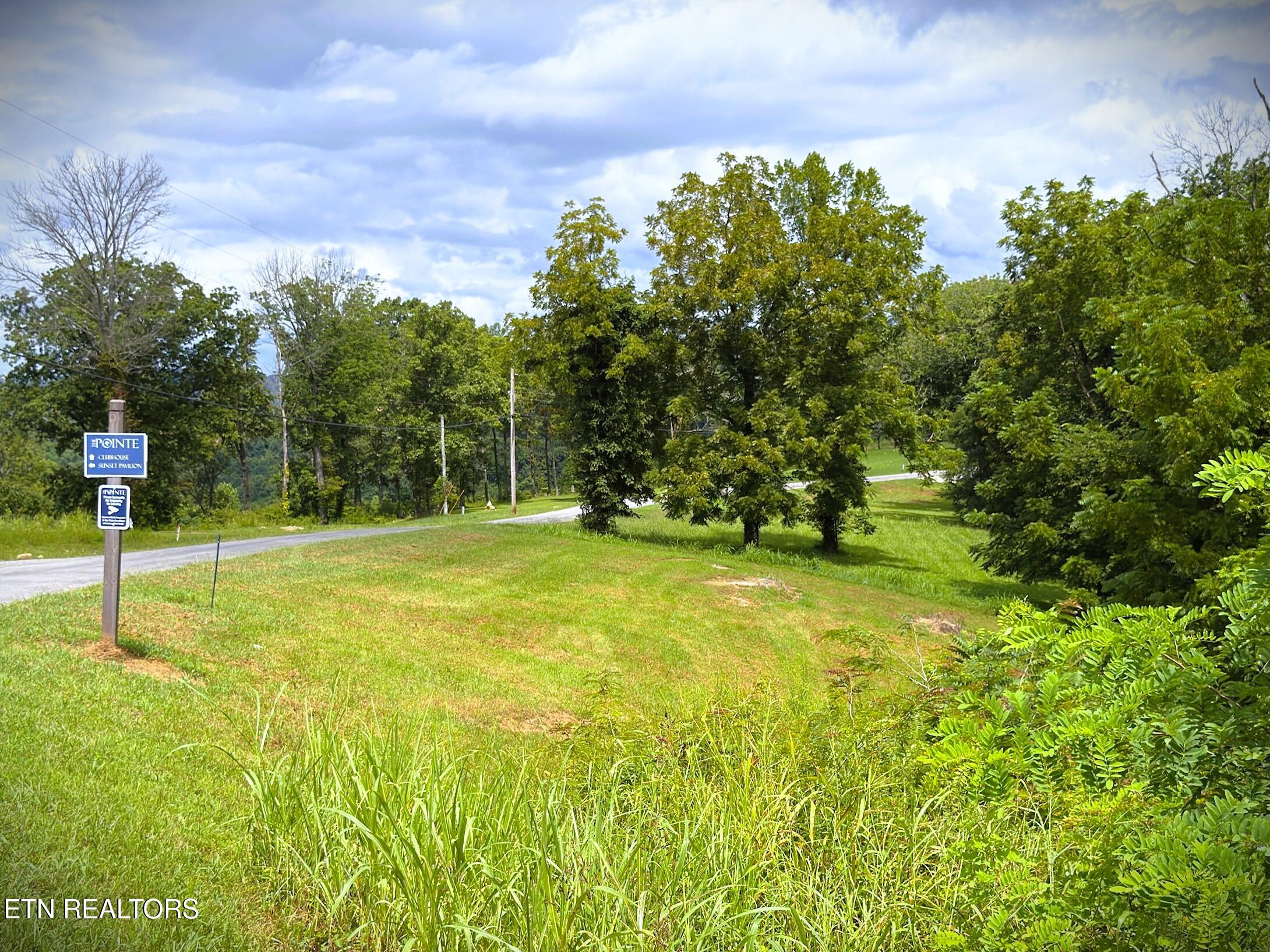 Lot 15c Swan Ridge Road Hilham TN 38568