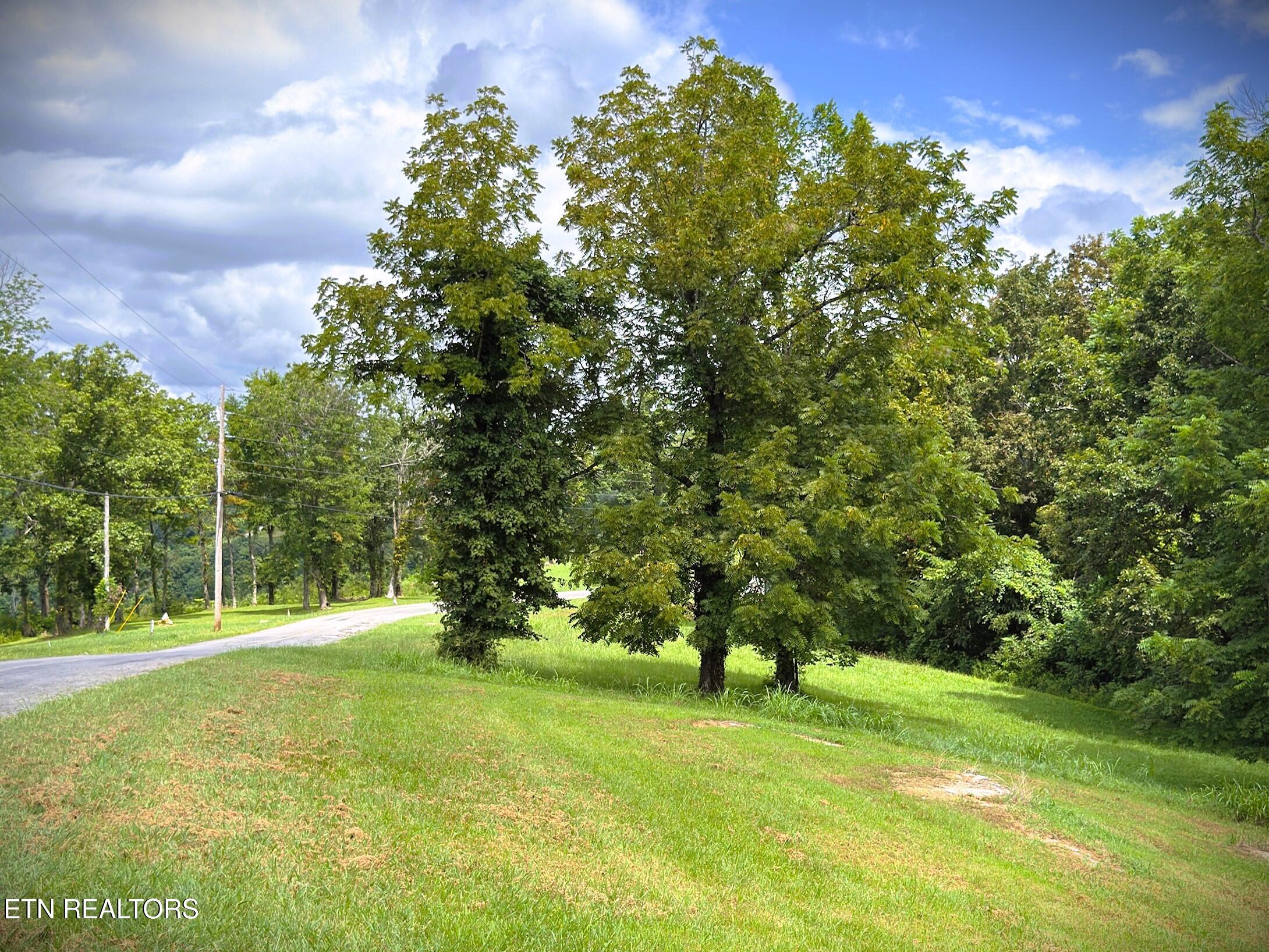 Lot 15c Swan Ridge Road Hilham TN 38568