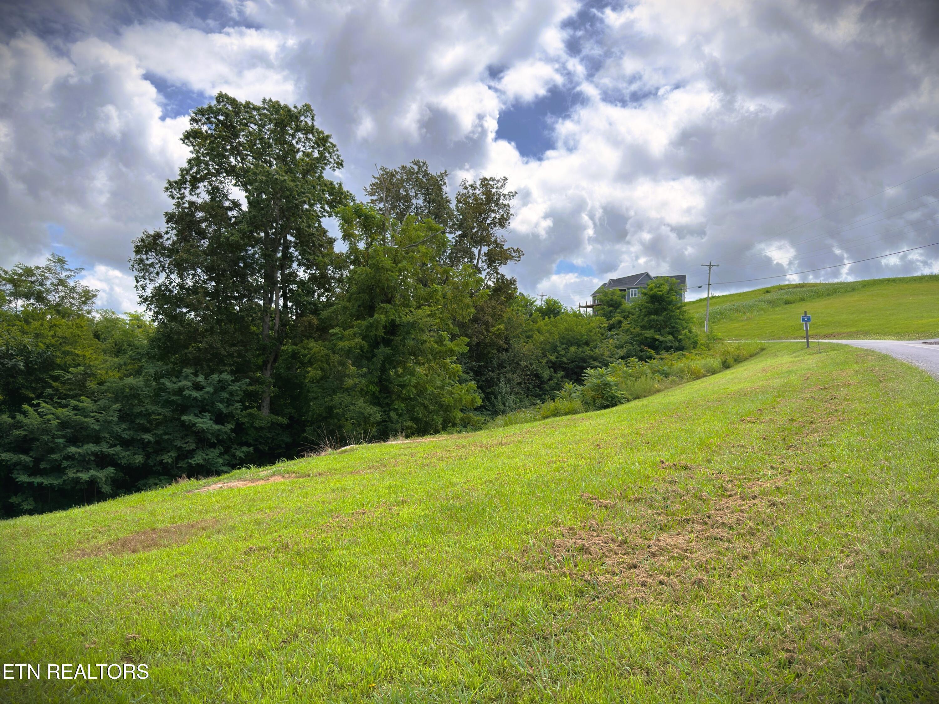 Lot 15c Swan Ridge Road Hilham TN 38568